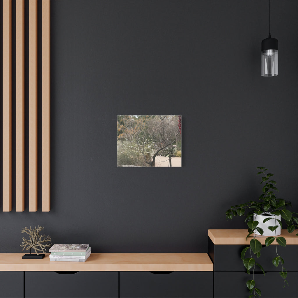 Classic Canvas Art Print, Bohemian Decor, Nature Wall Art, Home Gallery, Rustic Wall Decoration