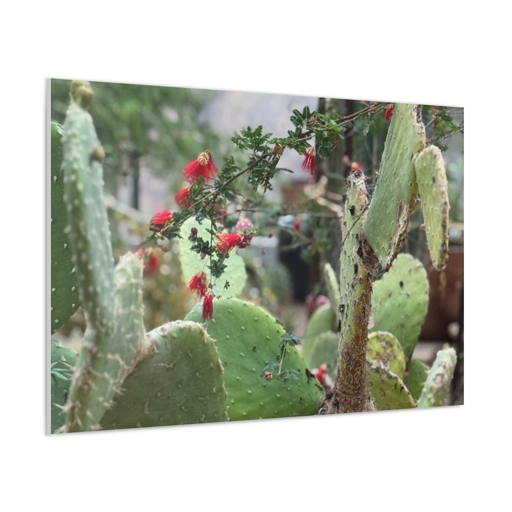Cactus Artwork Print, Botanical Wall Decor, Succulent Canvas, Nature Lover Gift, Home Decoration