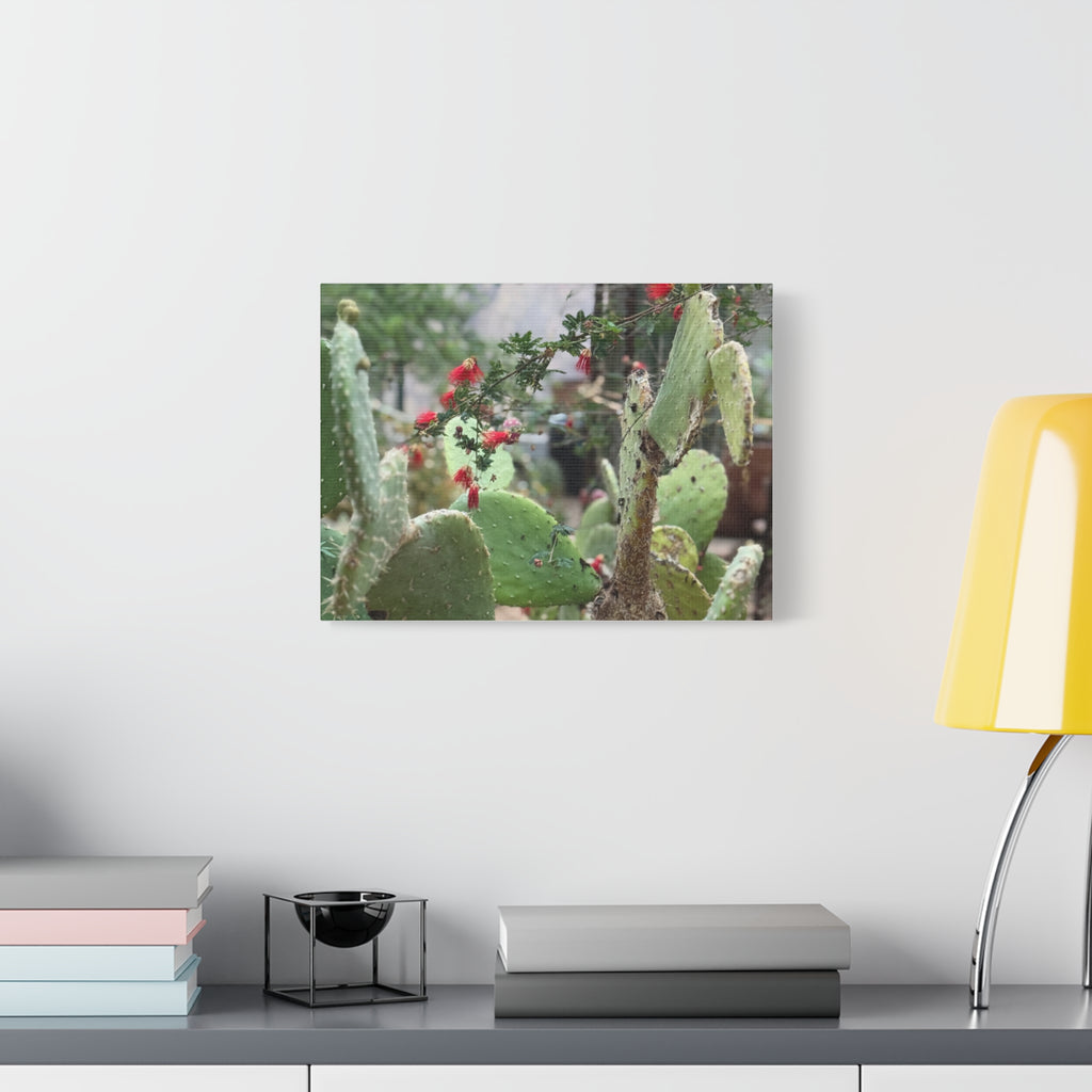 Cactus Artwork Print, Botanical Wall Decor, Succulent Canvas, Nature Lover Gift, Home Decoration