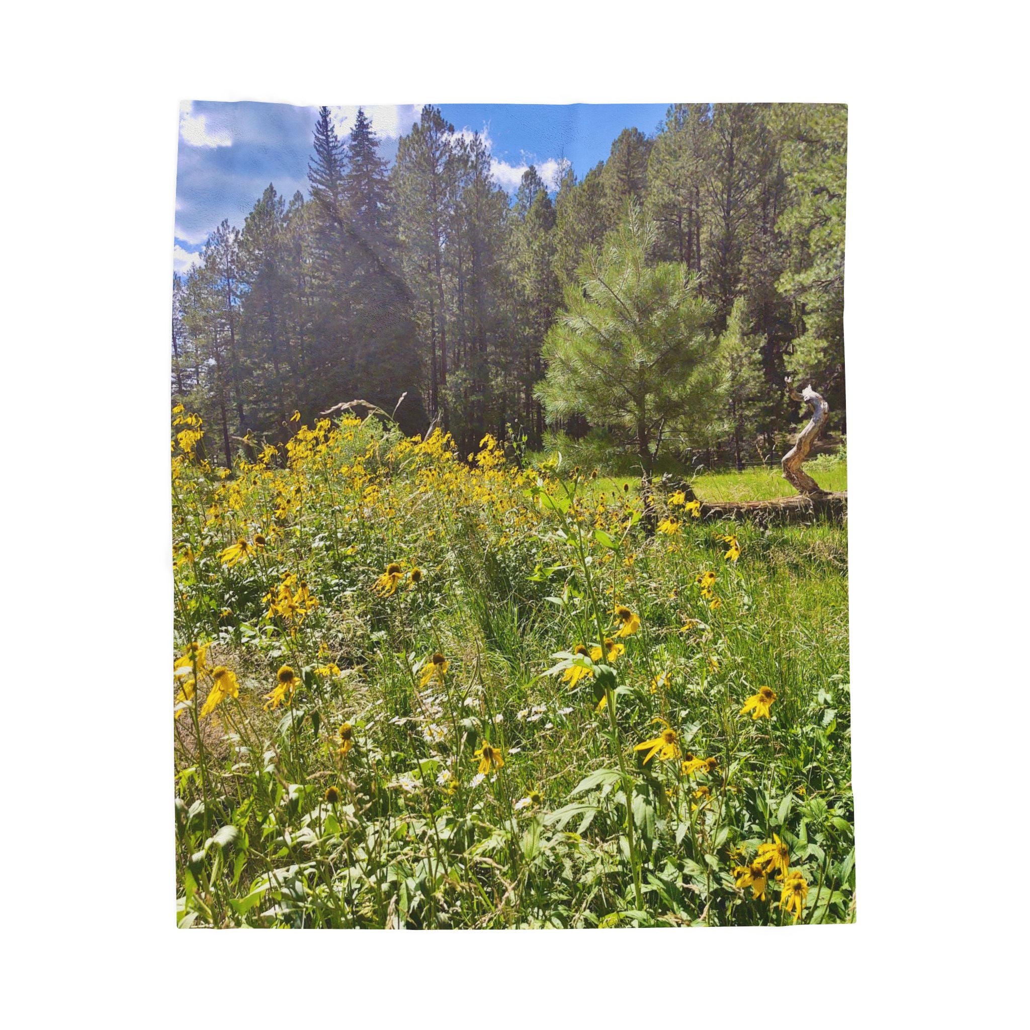 Cozy Velveteen Plush Blanket for Nature Lovers, Soft Throw, Perfect Gift for Home Decor, Warm Blanket for Camping, Picnics, Outdoor Comfort