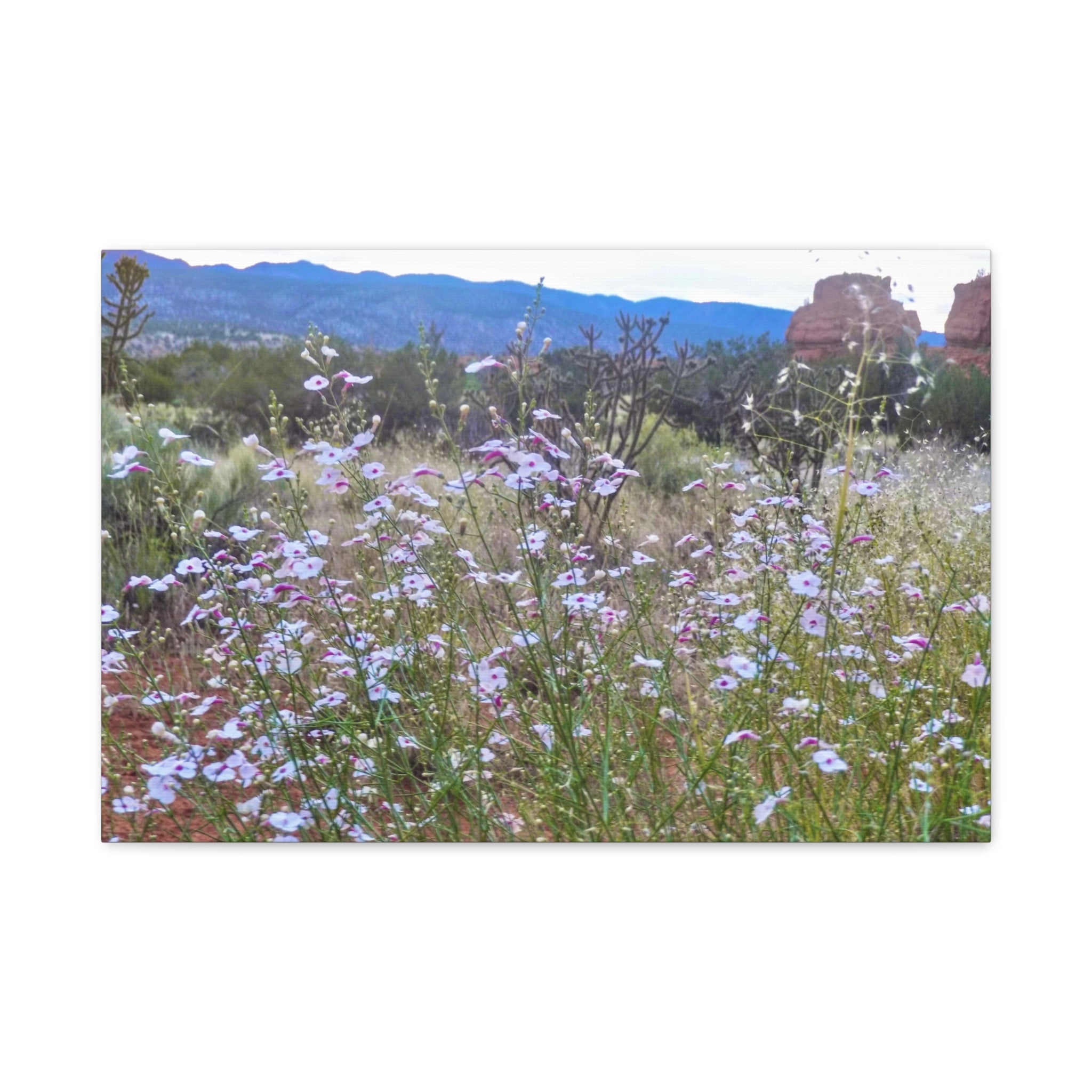 Floral Canvas Art Print, Nature Decor for Home, Wall Art for Office, Gift for Garden Lovers, Botanical Wall Decor, Spring Vibes