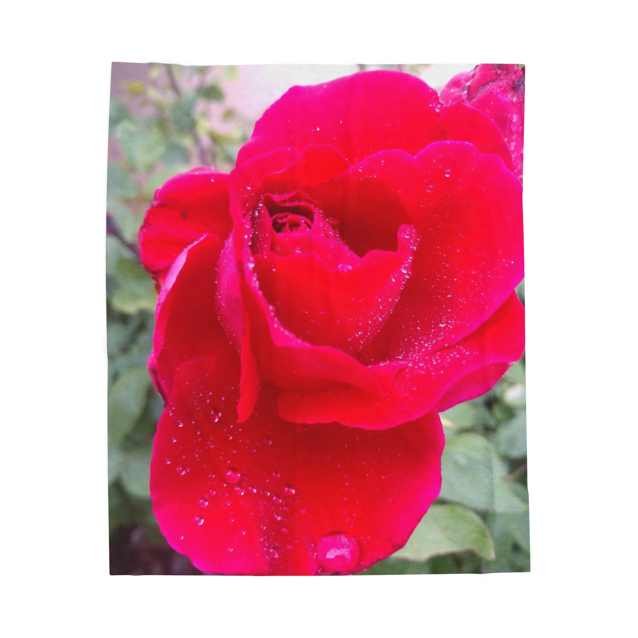 Cozy Floral Velveteen Plush Blanket - Perfect for Relaxation, Home Décor, Gifts, and Special Occasions