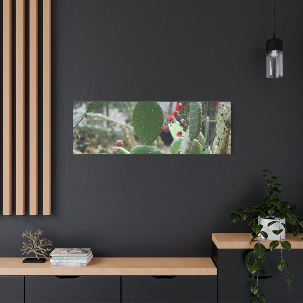 Cactus Matte Canvas Wall Art, Nature Decor, Southwestern Room Design, Green Plant Prints, Home and Office Wall Decor