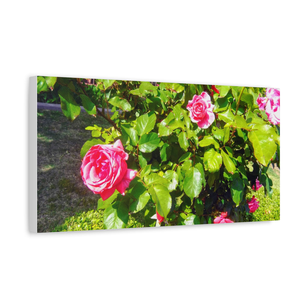 Floral Canvas Wall Art, Pink Rose Decor, Home Gallery Piece, Flower Photography, Garden Wall Decor, Floral Print