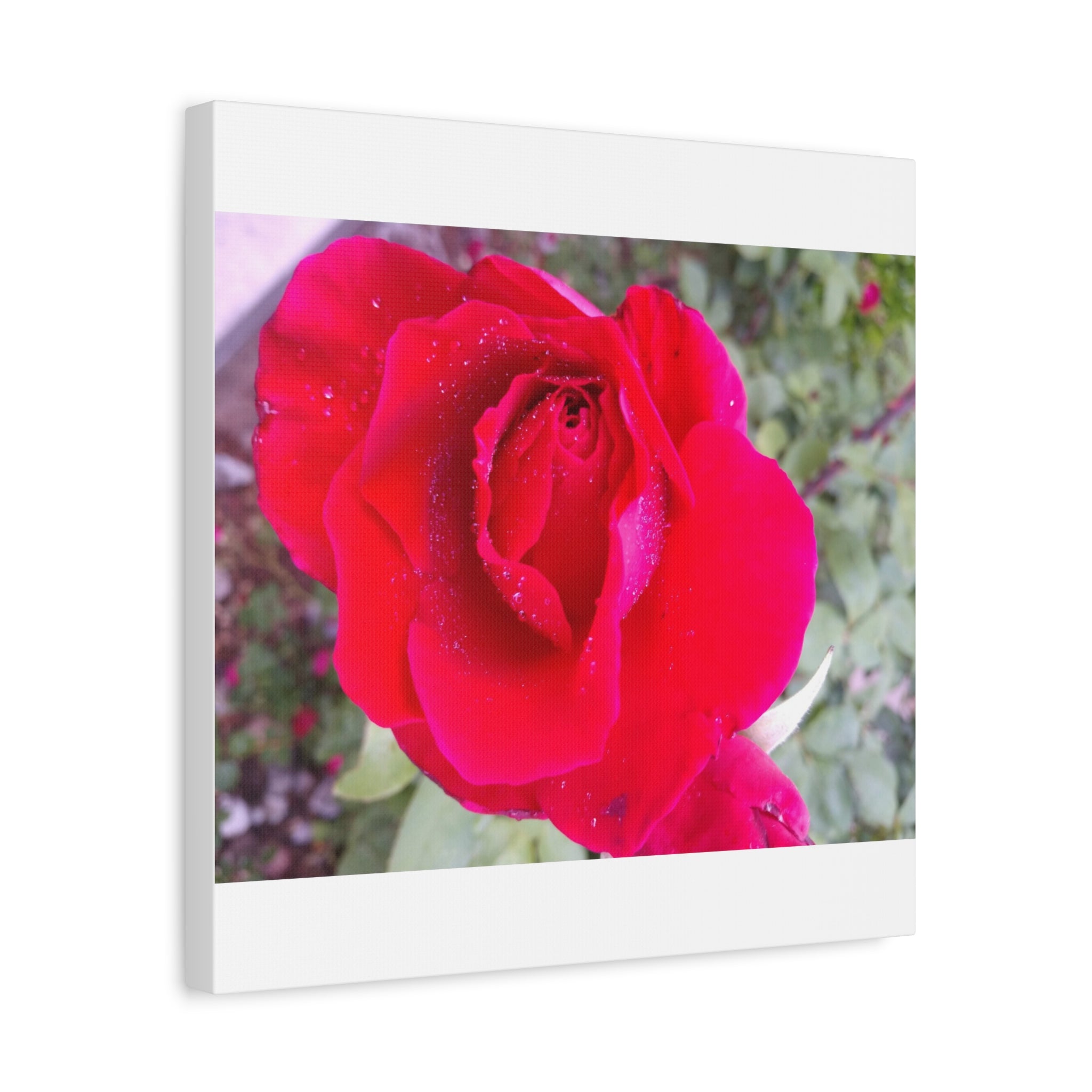 Vibrant Floral Canvas Art, Elegant Wall Decor, Perfect for Home, Gifts, Mother's Day, and Weddings