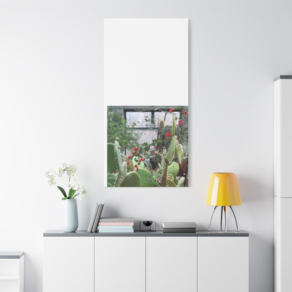 Cactus Wall Art Print, Nature Home Decor, Bohemian Style Artwork, Botanical Gift, Succulent Canvas