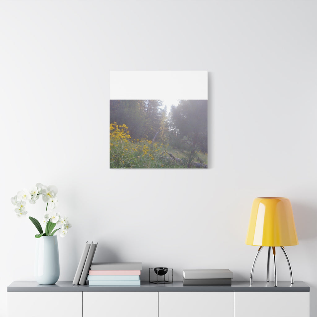 Matte Canvas, Stretched, 1.25"