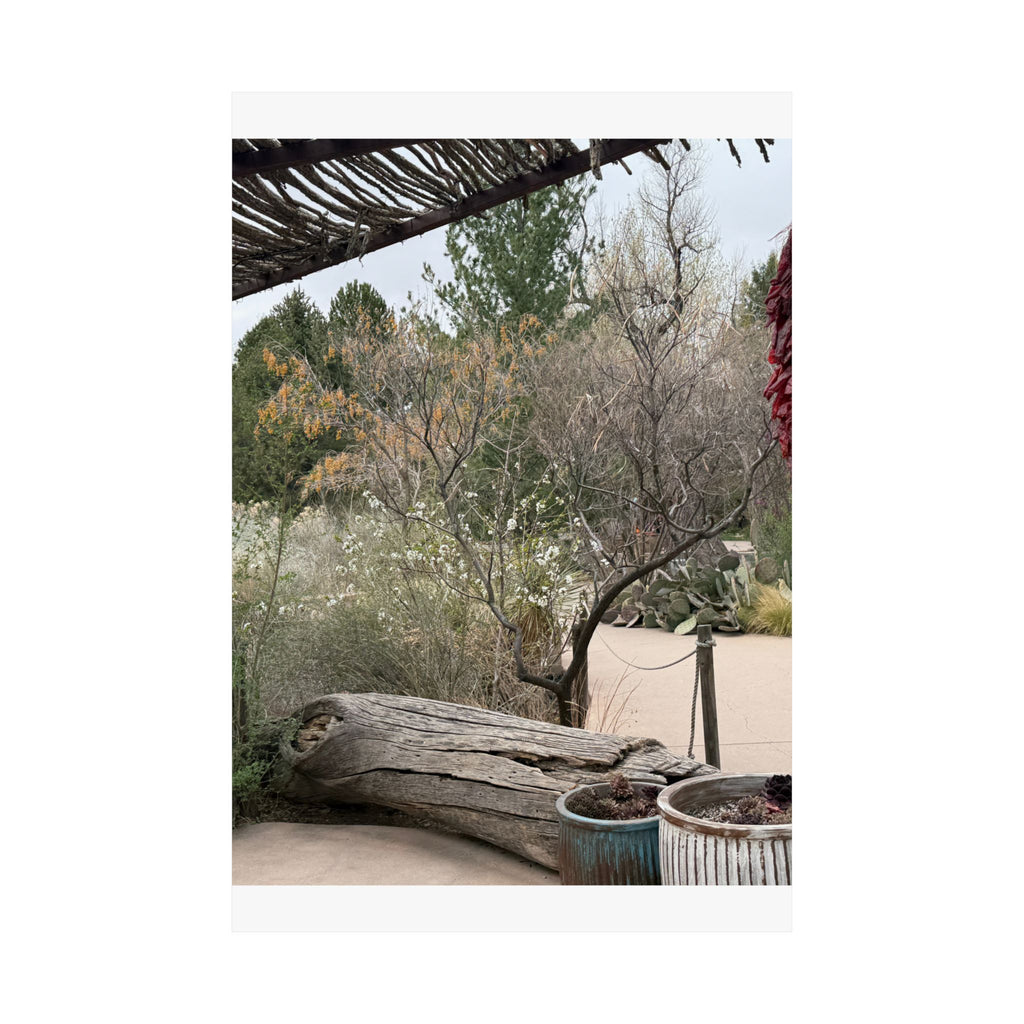 Matte Vertical Posters | Nature-Inspired Wall Art, Rustic Decor, Home Aesthetic, Gift for Nature Lovers, Bohemian Poster Prints