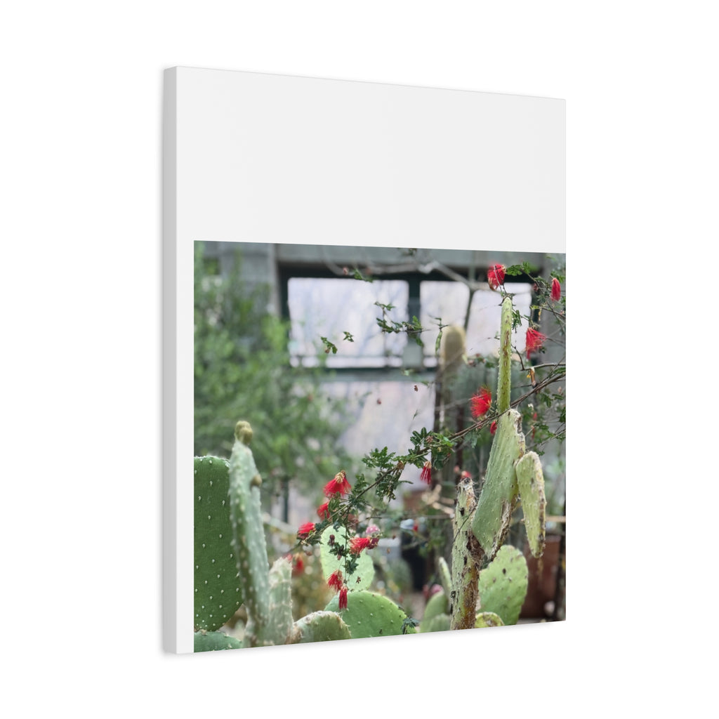 Cactus Wall Art Print, Nature Home Decor, Bohemian Style Artwork, Botanical Gift, Succulent Canvas