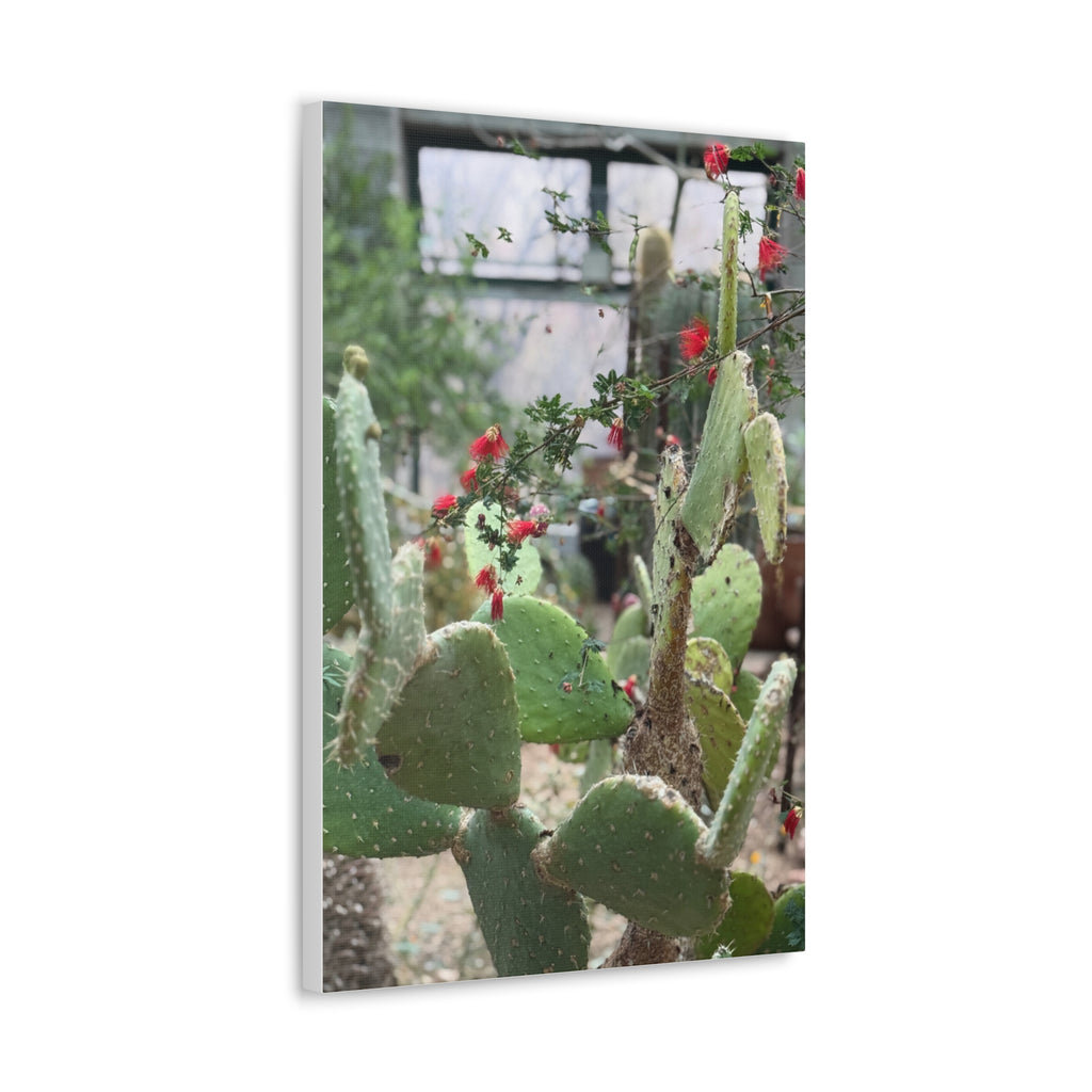 Cactus Artwork Print, Botanical Wall Decor, Succulent Canvas, Nature Lover Gift, Home Decoration