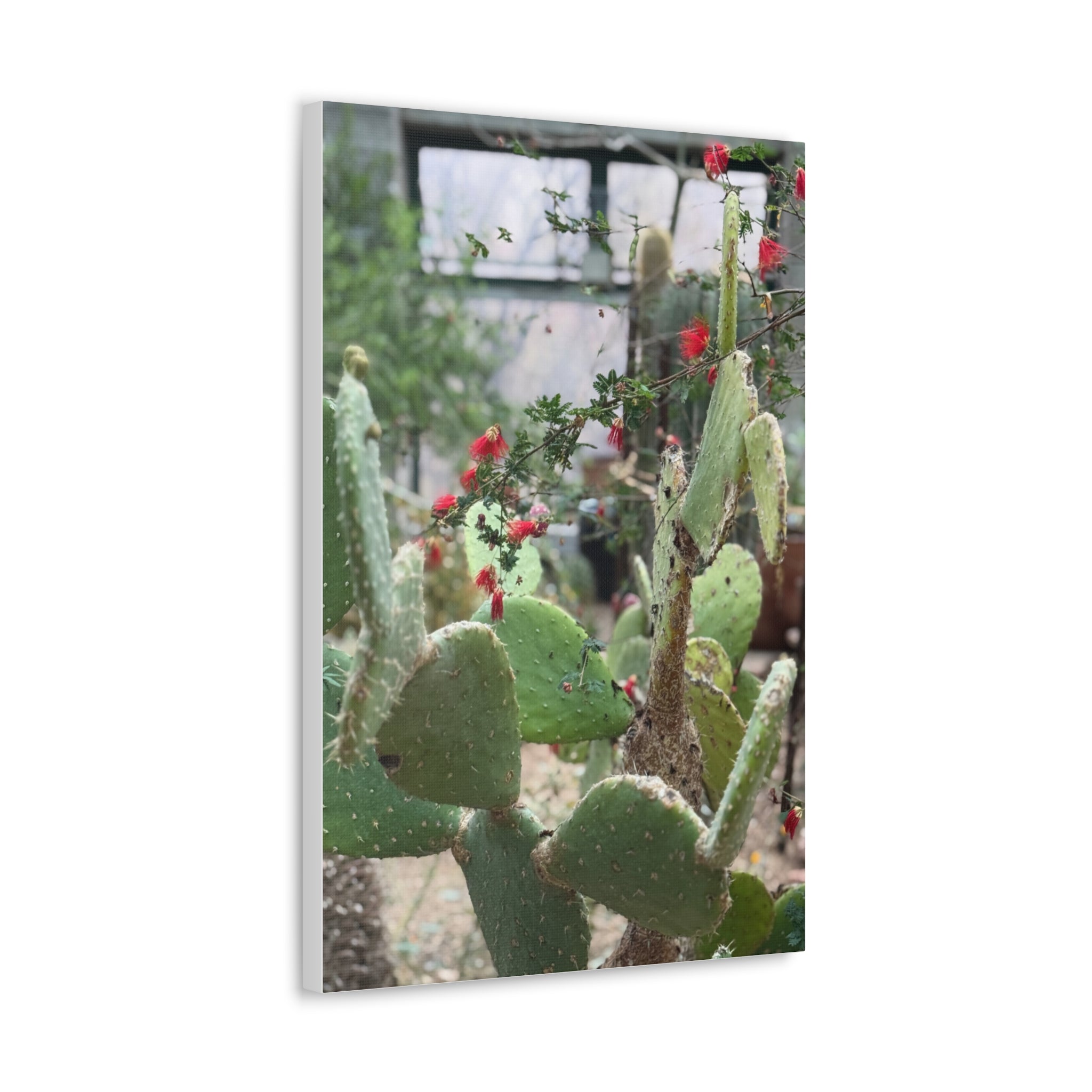 Cactus Artwork Print, Botanical Wall Decor, Succulent Canvas, Nature Lover Gift, Home Decoration