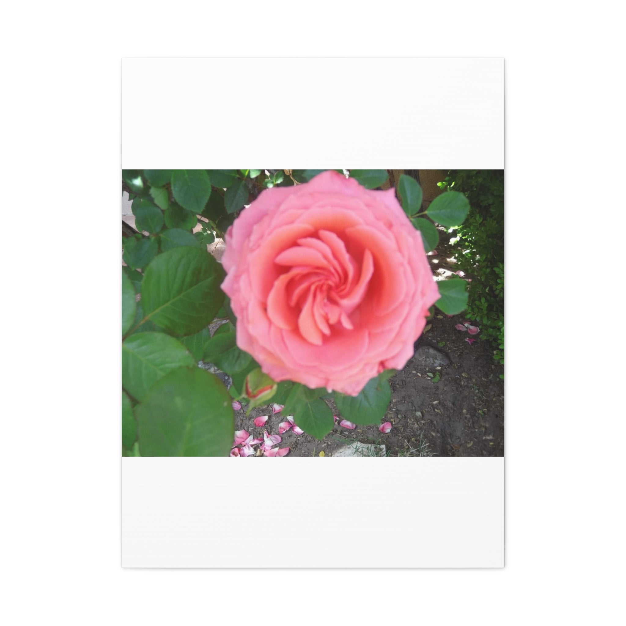 Pink Rose Canvas Wall Art, Floral Decor for Home, Perfect Gift for Nature Lovers, Elegant Wall Hanging, Mother's Day Decoration
