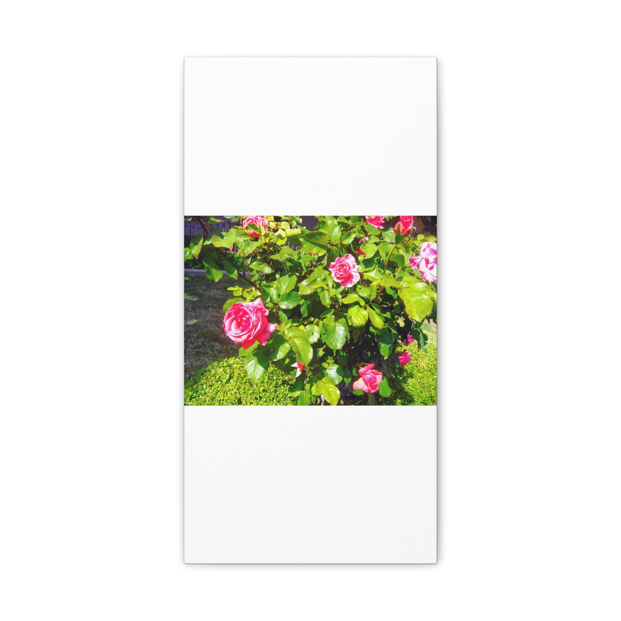 Floral Canvas Wall Art, Pink Rose Decor, Home Gallery Piece, Flower Photography, Garden Wall Decor, Floral Print