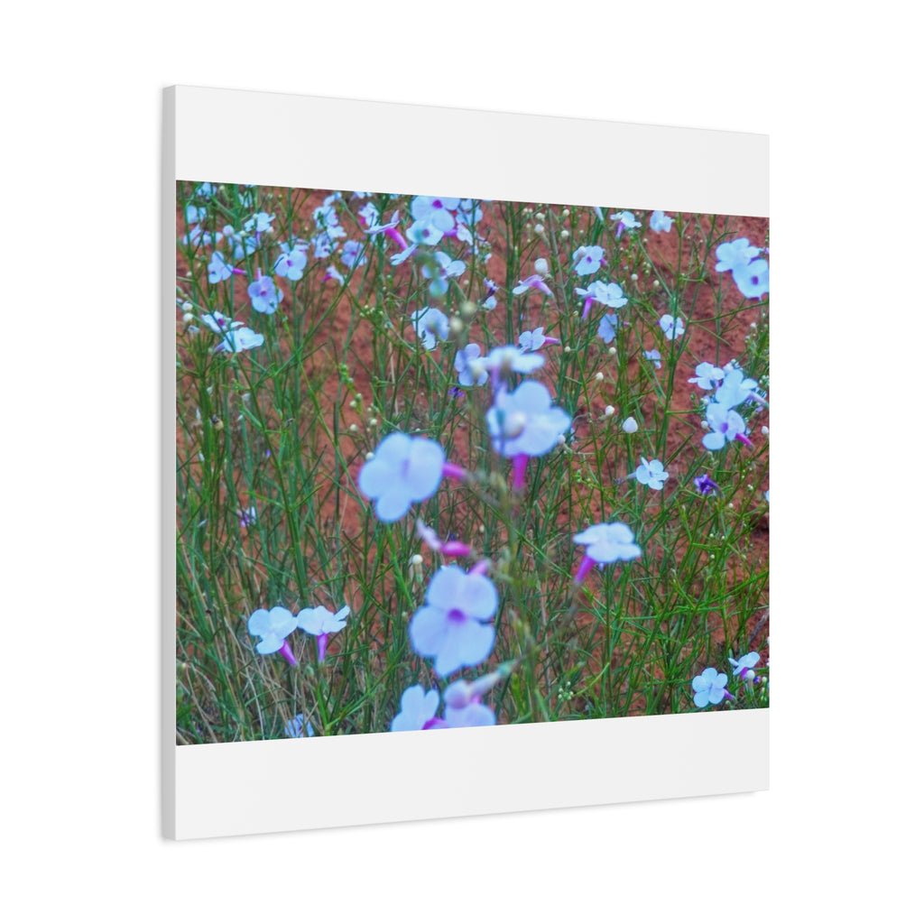 Floral Canvas Wall Art, Home Decor, Wall Hanging, Gift Idea, Nature Art, Flower Print