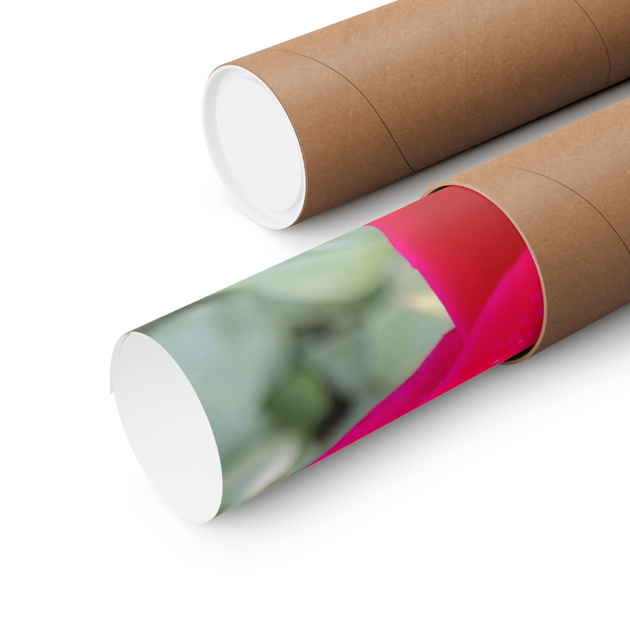 Vibrant Floral Matte Poster, Home Decor, Wall Art, Gift for Her, Red Rose Print, Botanical Wall Art, Romantic Decoration