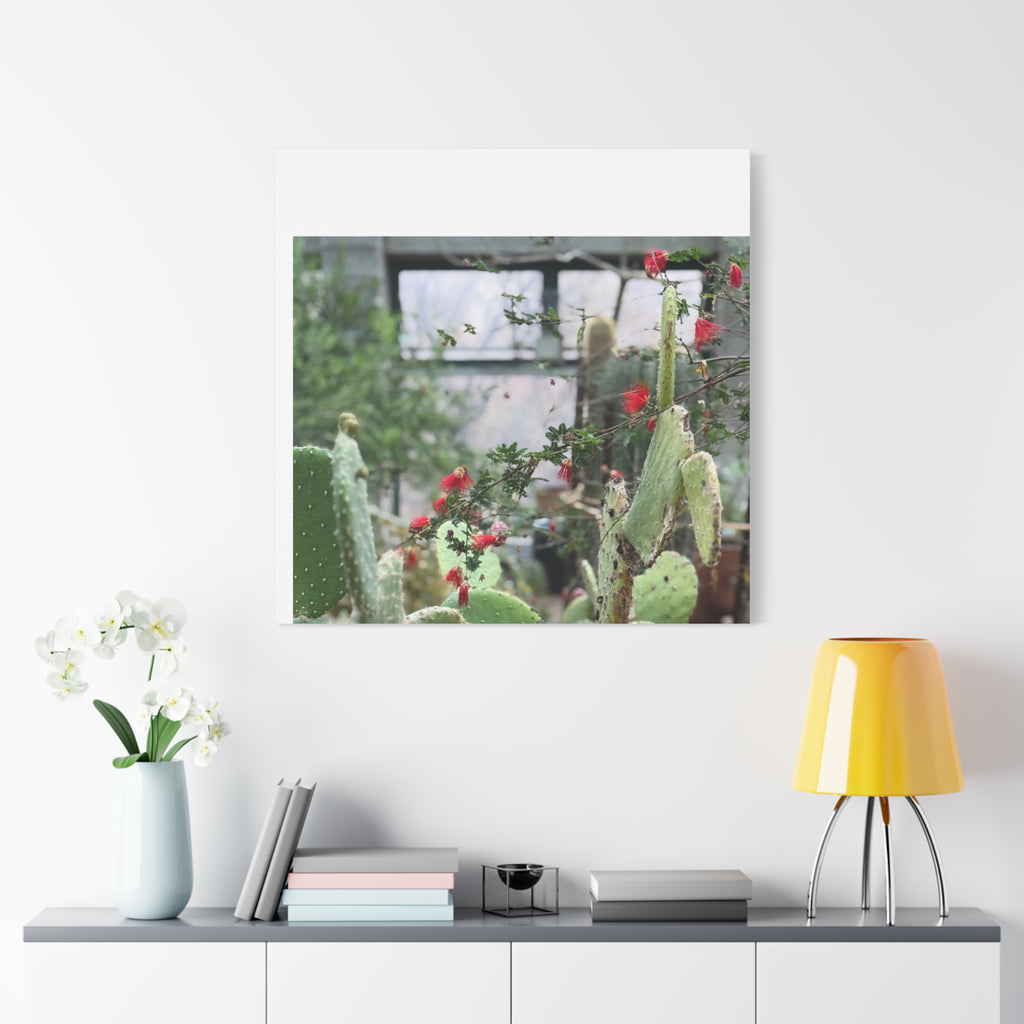 Cactus Wall Art Print, Nature Home Decor, Bohemian Style Artwork, Botanical Gift, Succulent Canvas