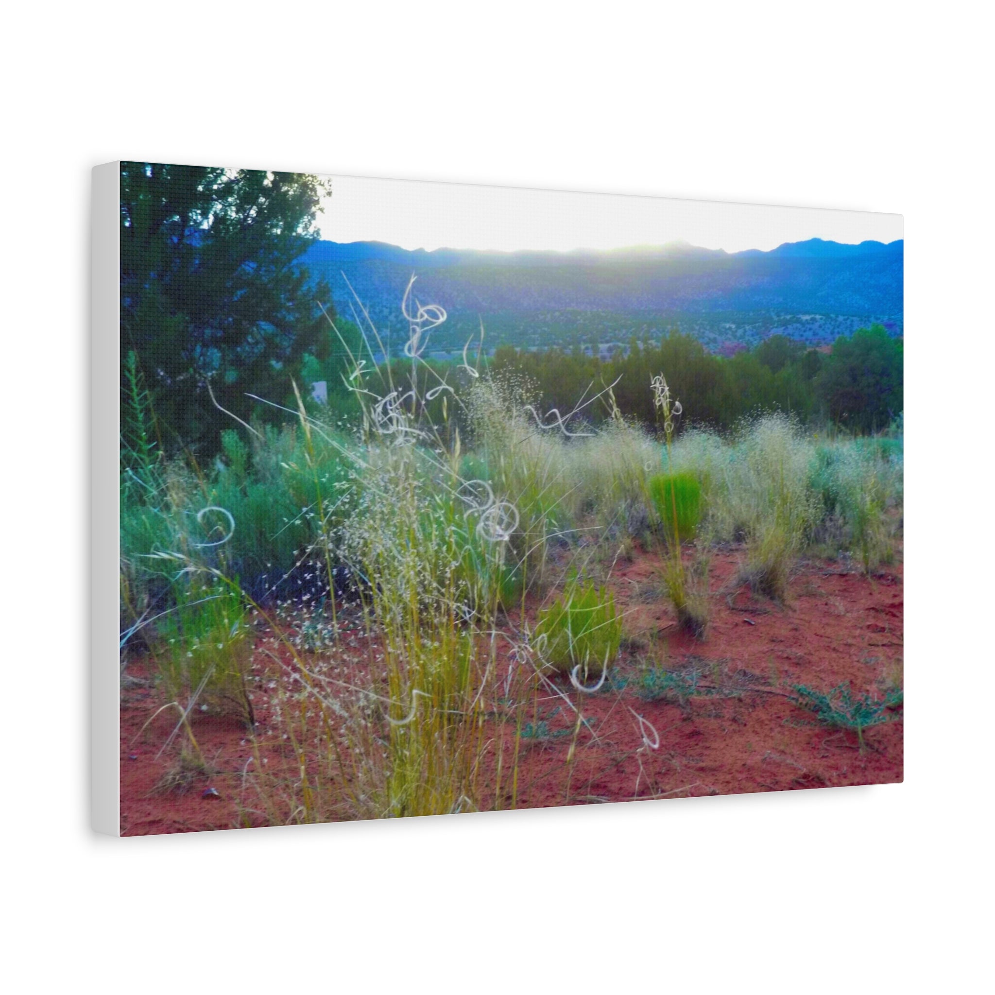 Stretched Canvas Art Print, Nature Wall Decor, Boho Home Decor, Rustic Landscape Art, Gift for Nature Lovers