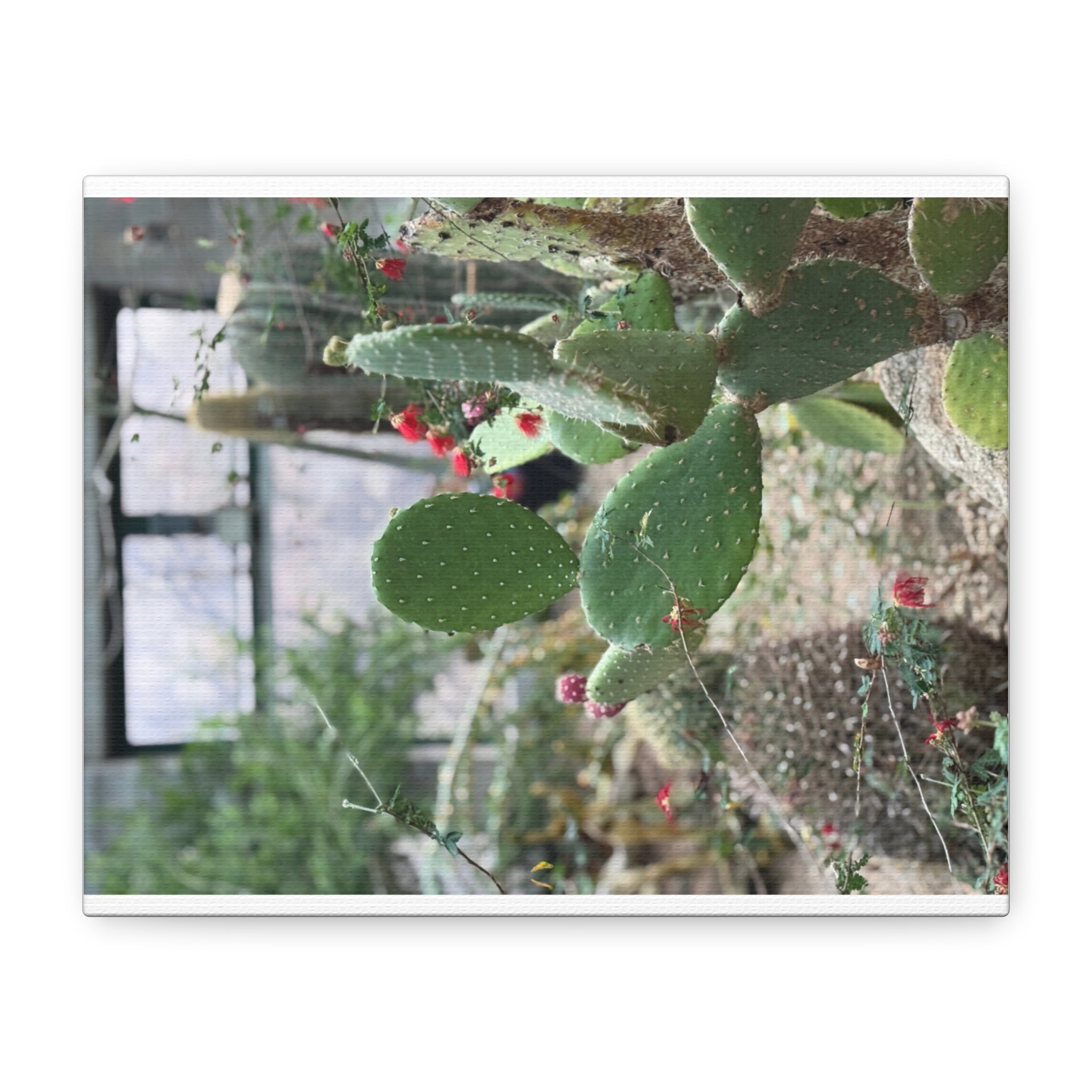 Cactus Wall Art Canvas Print, Nature Décor for Home, Office, Gift for Cactus Lovers, Unique Plant Themed Artwork, Desert Vibe Decor