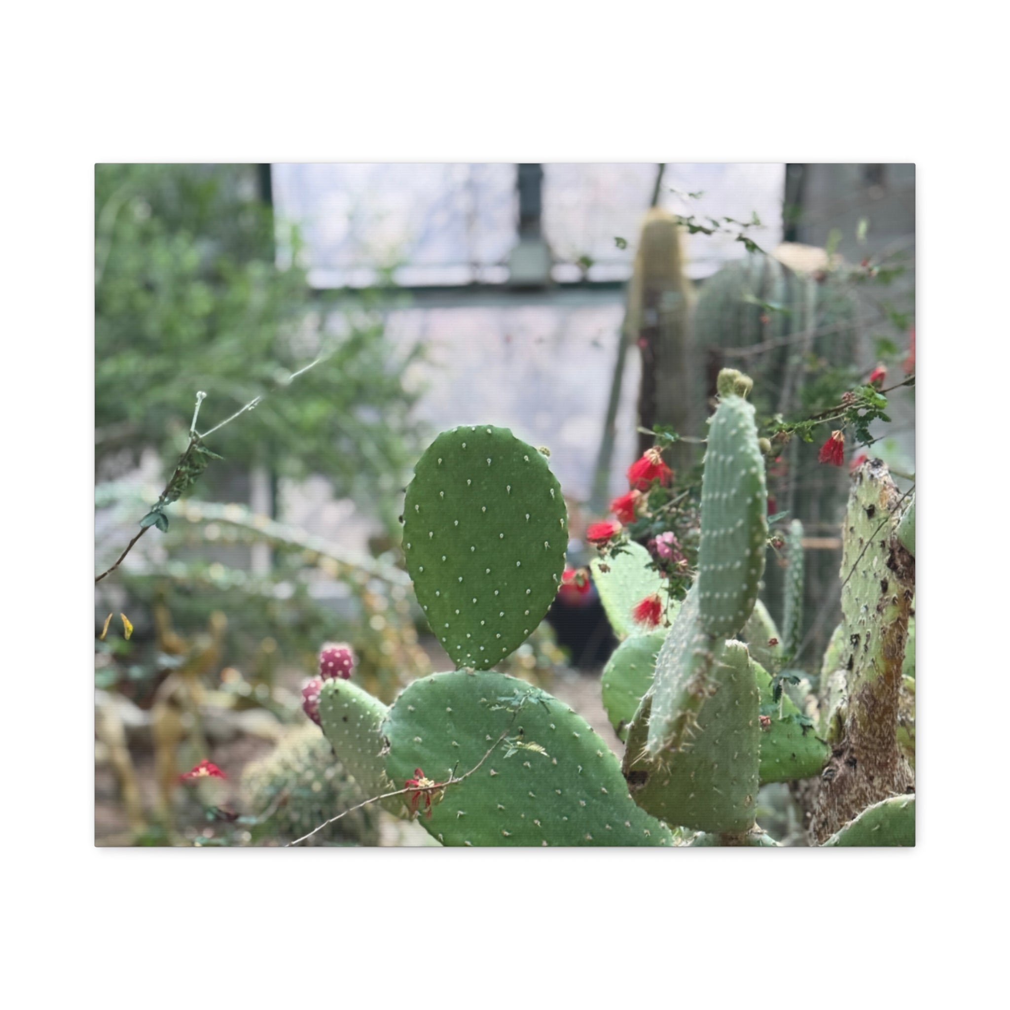 Cactus Matte Canvas Wall Art, Nature Decor, Southwestern Room Design, Green Plant Prints, Home and Office Wall Decor