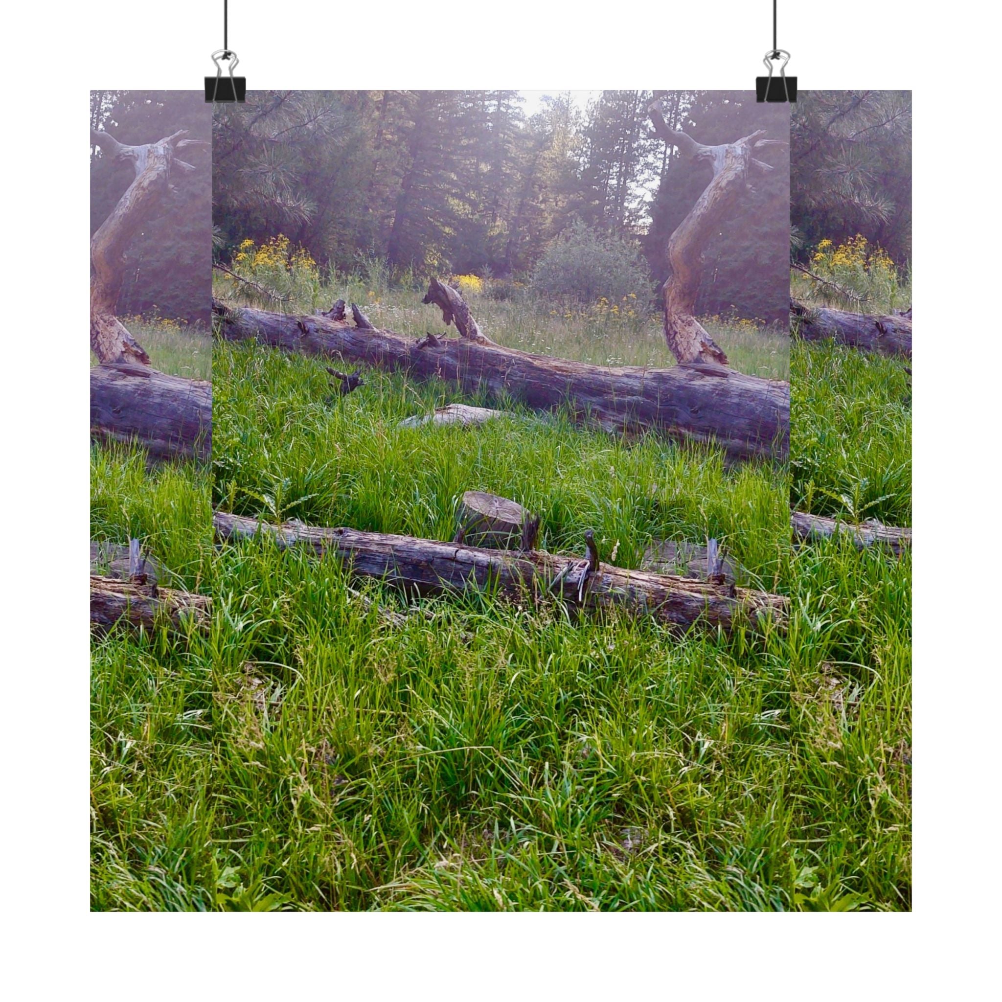 Nature-Inspired Matte Vertical Posters, Wall Art, Home Decor, Gift for Nature Lovers, Room Decoration, Eco-Friendly Art