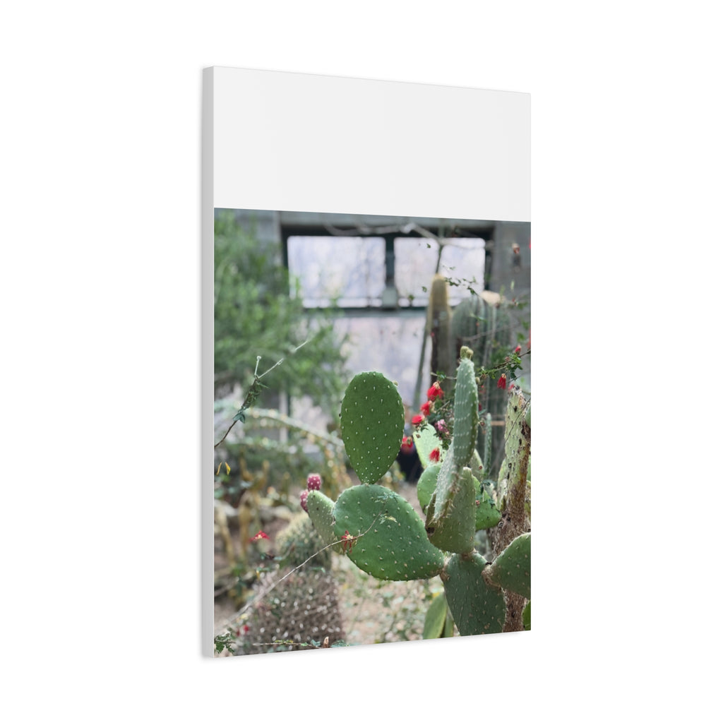 Cactus Matte Canvas Wall Art, Nature Decor, Southwestern Room Design, Green Plant Prints, Home and Office Wall Decor