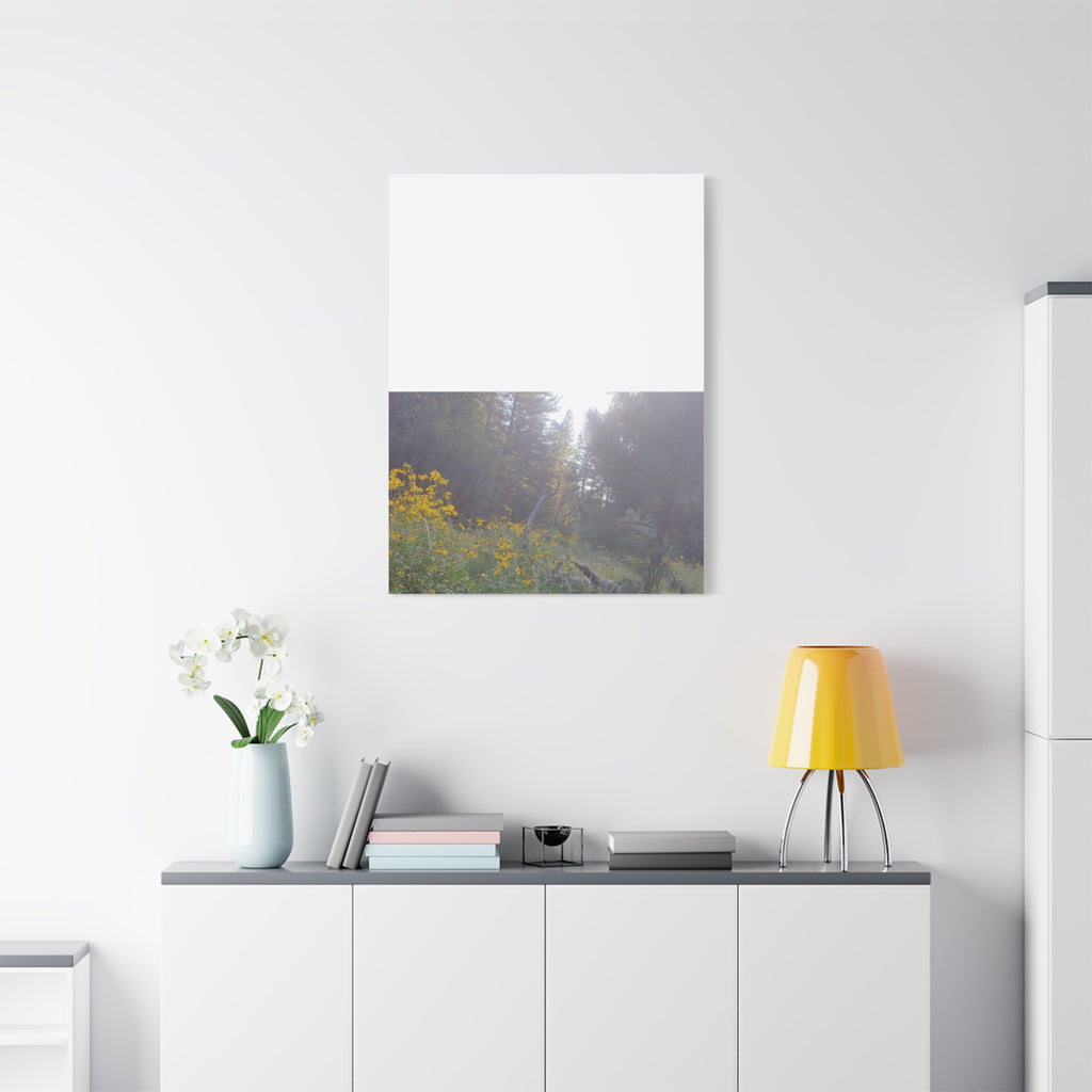 Matte Canvas, Stretched, 1.25"