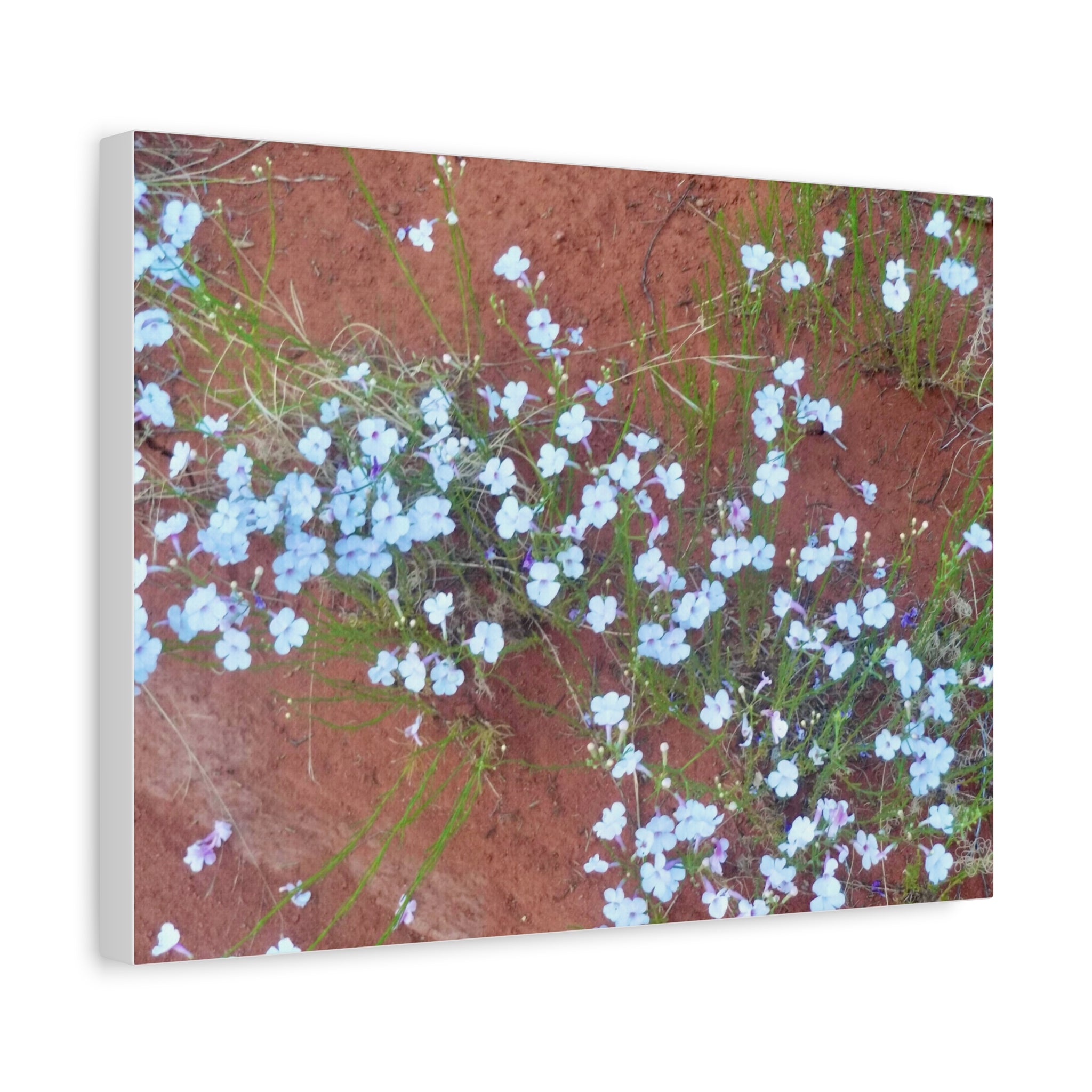 Botanical Wall Art, Flower Decor, Nature Canvas, Home Decoration, Blue Floral Print, Gift for Her, Art for Living Room