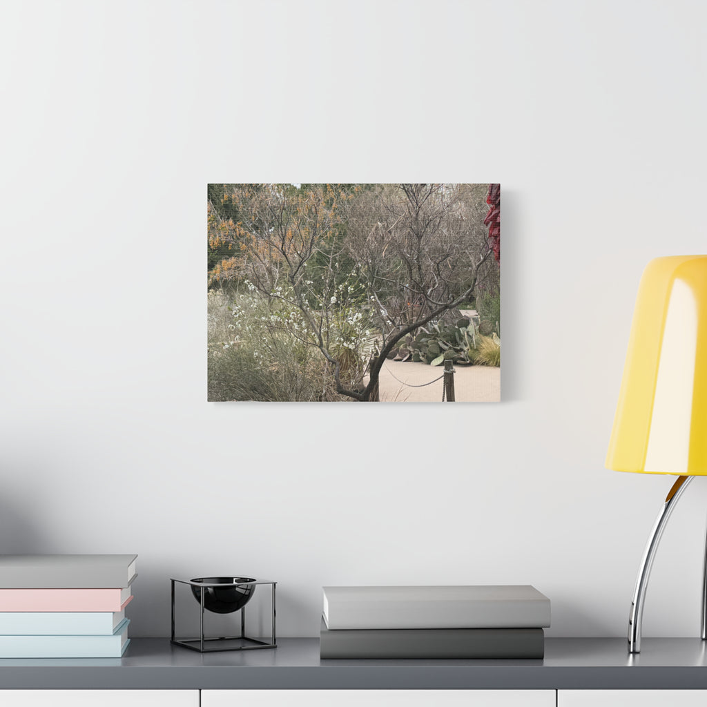 Classic Canvas Art Print, Bohemian Decor, Nature Wall Art, Home Gallery, Rustic Wall Decoration