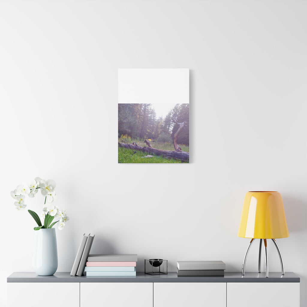 Matte Canvas Wall Art - Serene Nature Scene, Perfect for Home Decor, Gift for Nature Lovers, Office Wall Decoration, Rustic Art Print