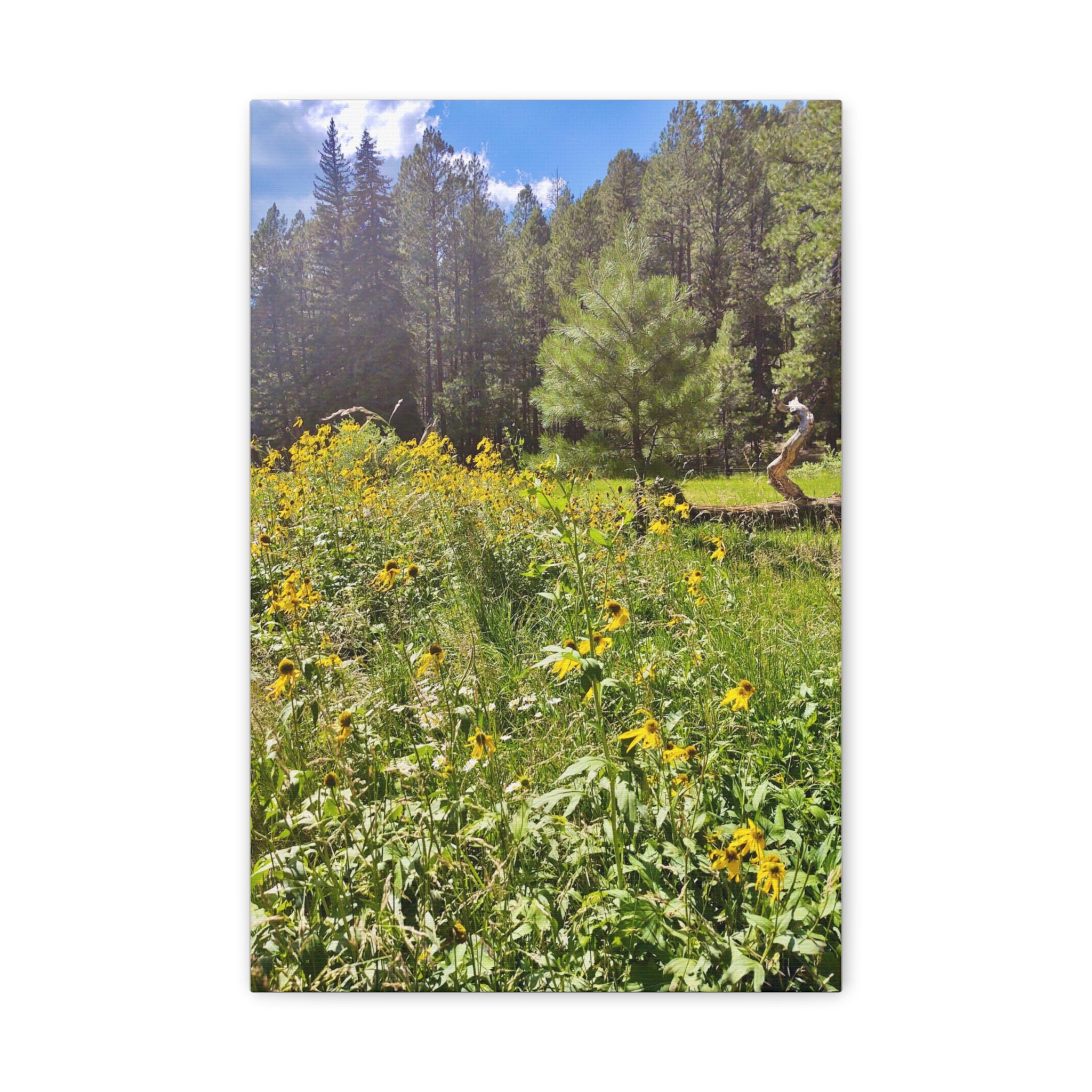 Canvas Wall Art, Nature Photography Decor, Floral Home Decor, Greenery Art Print, Gift for Nature Lovers