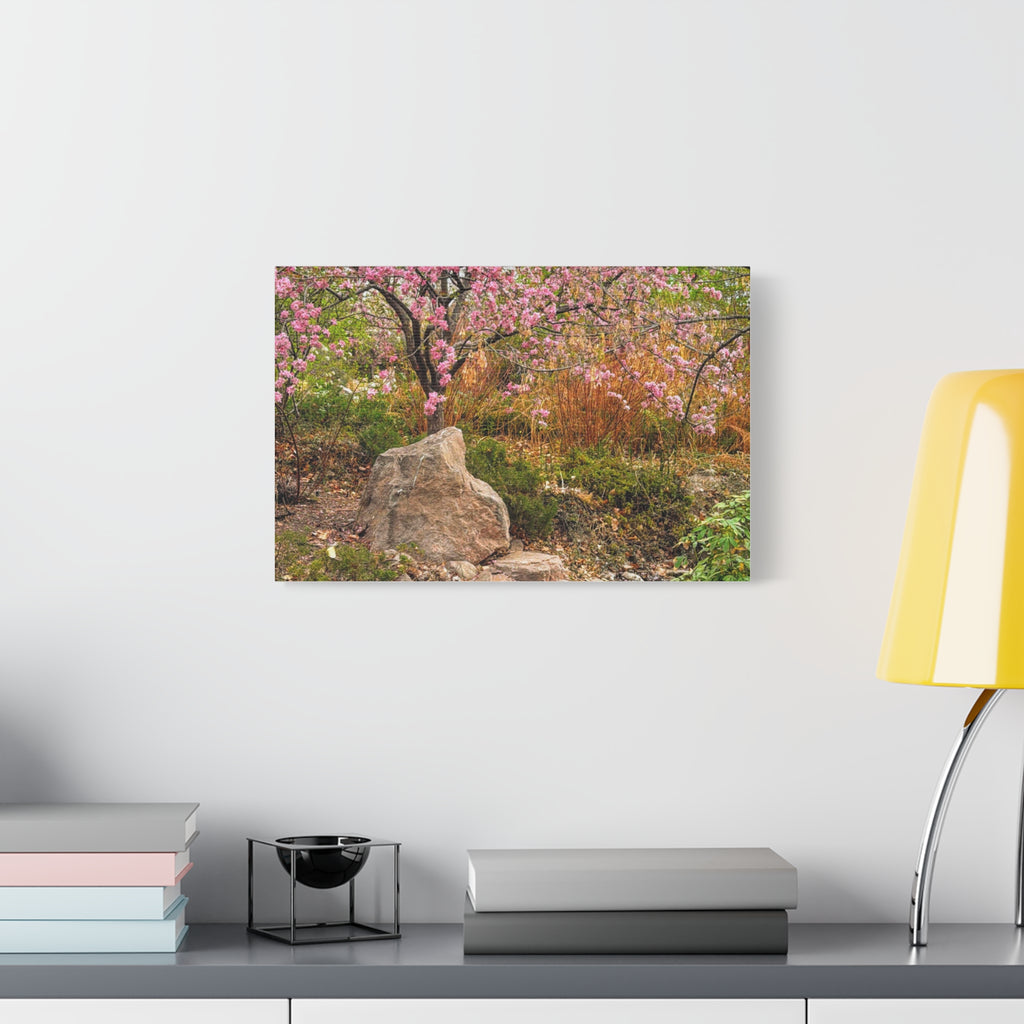 Canvas Wall Art, Pink Blossom Landscape Decor, Nature Photograph, Floral Print, Spring Home Decor, Gift for Nature Lovers