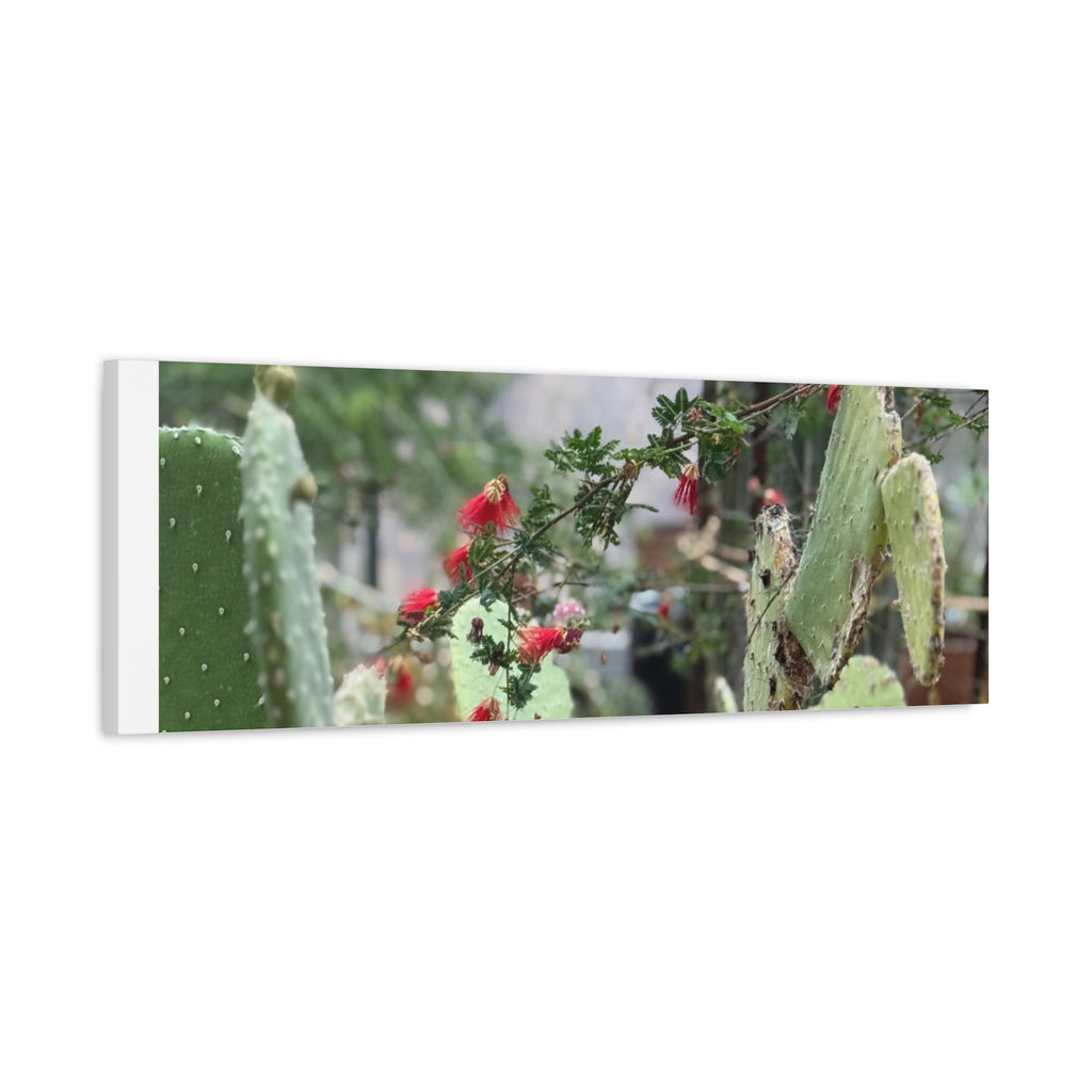 Cactus Wall Art Print, Nature Home Decor, Bohemian Style Artwork, Botanical Gift, Succulent Canvas