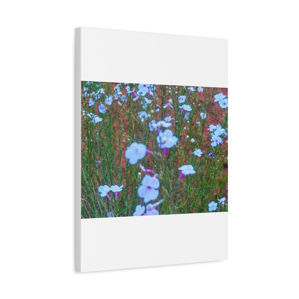 Floral Canvas Wall Art, Home Decor, Wall Hanging, Gift Idea, Nature Art, Flower Print