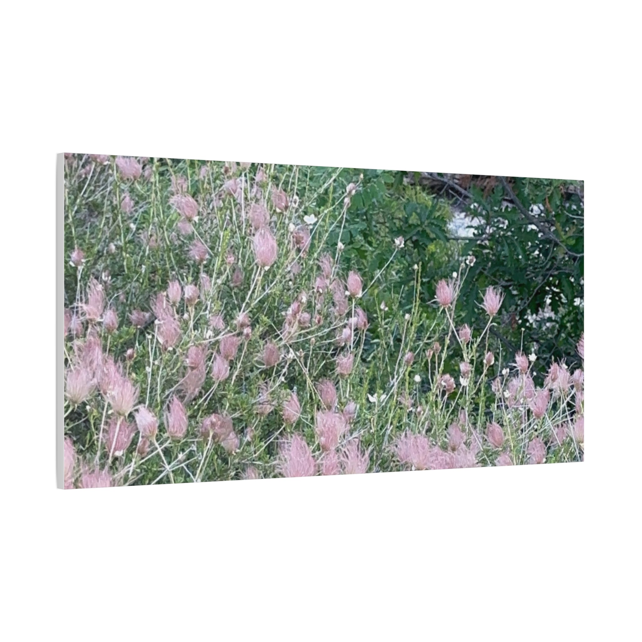 Floral Wall Art Canvas, Home Decor, Nature Lover Gift, Botanical Print, Spring Decor, Mother’s Day