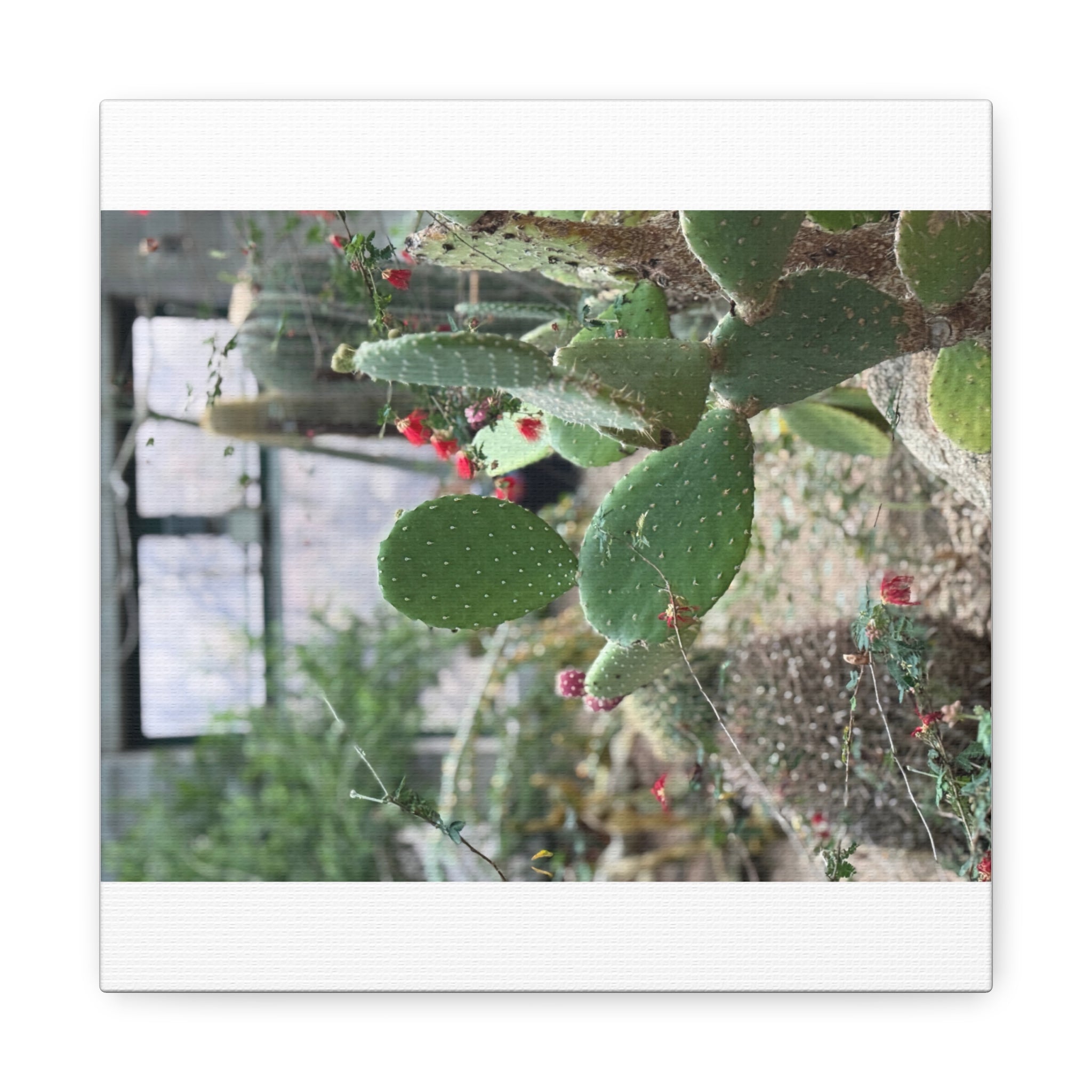 Cactus Wall Art Canvas Print, Nature Décor for Home, Office, Gift for Cactus Lovers, Unique Plant Themed Artwork, Desert Vibe Decor