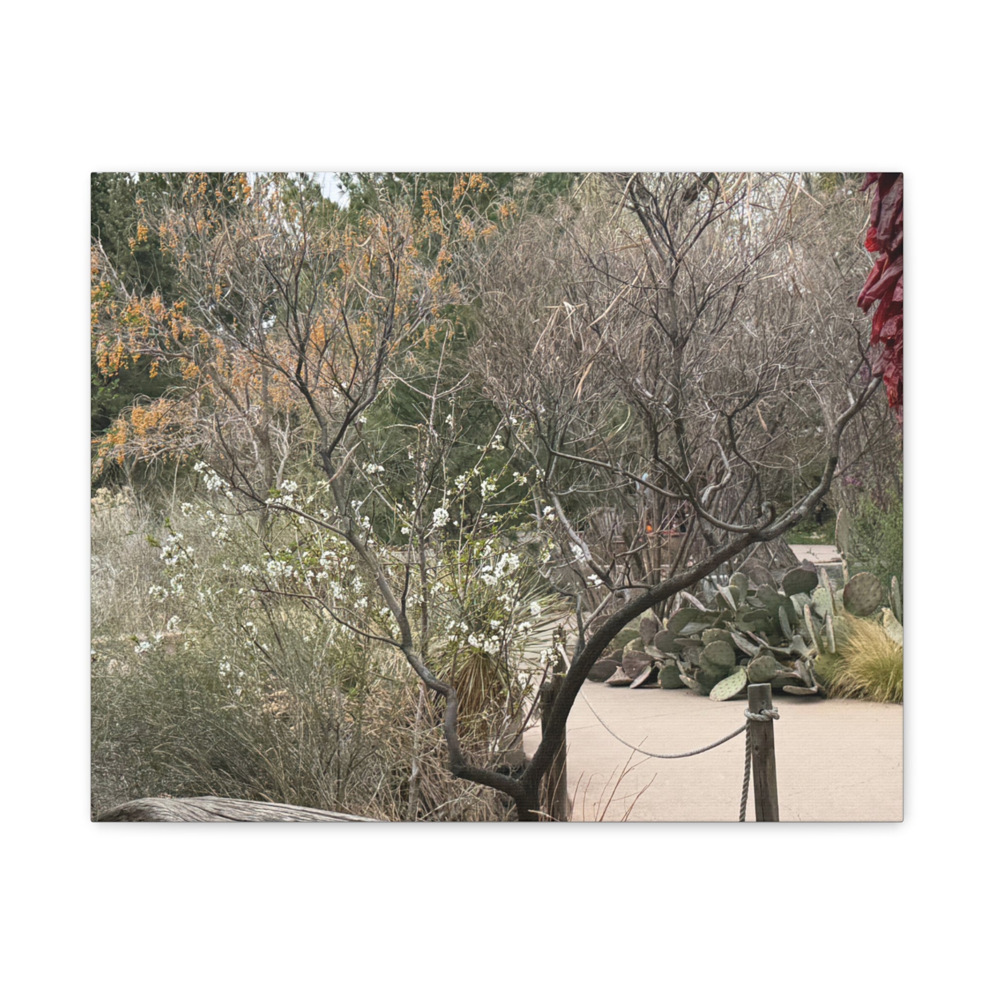 Classic Canvas Art Print, Bohemian Decor, Nature Wall Art, Home Gallery, Rustic Wall Decoration