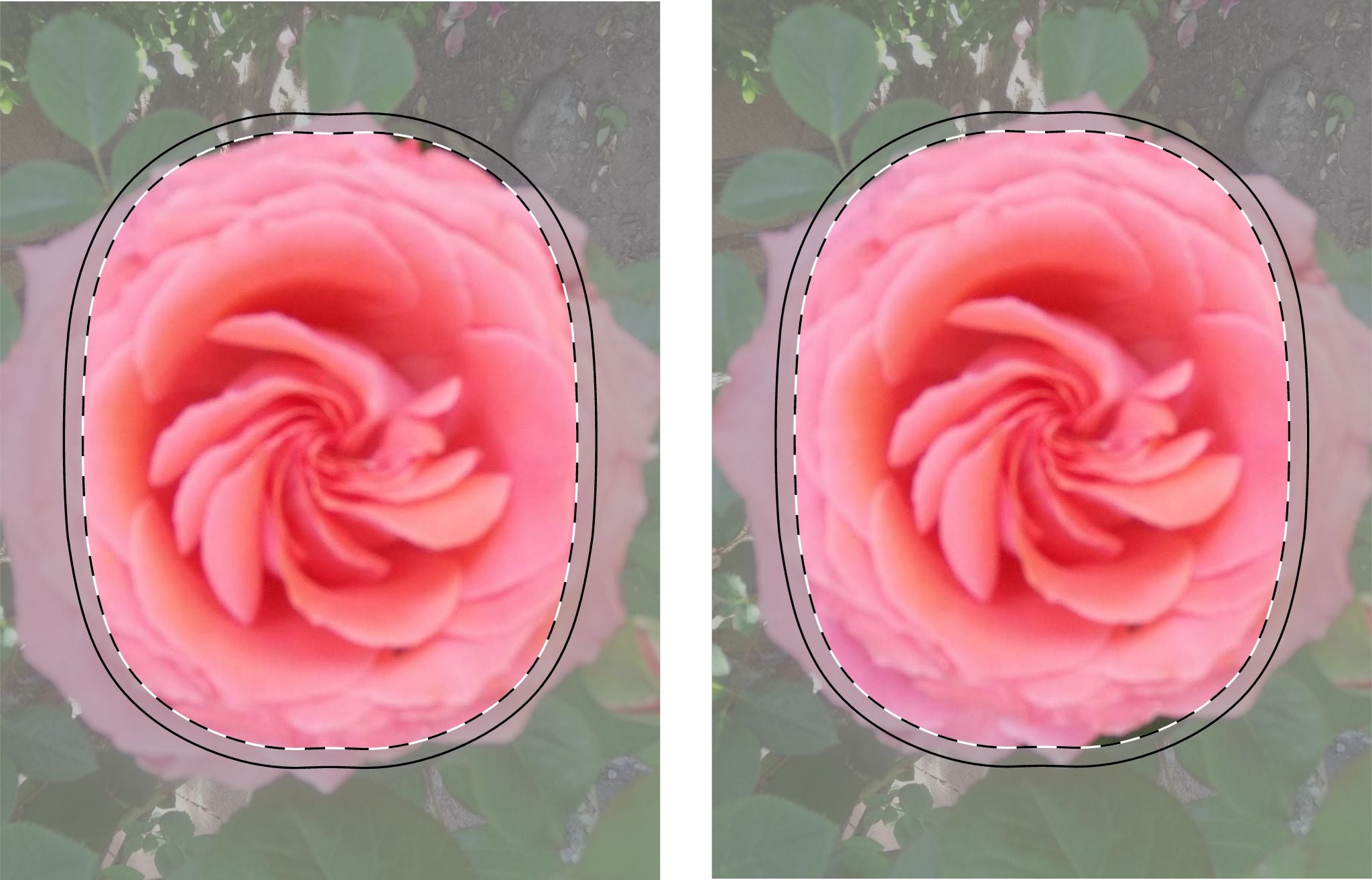 Stylish AirPods Max Shell Case - Floral Design, Gift for Music Lovers, Travel Accessory, Flower Print Cover, Personalized Earphone Case