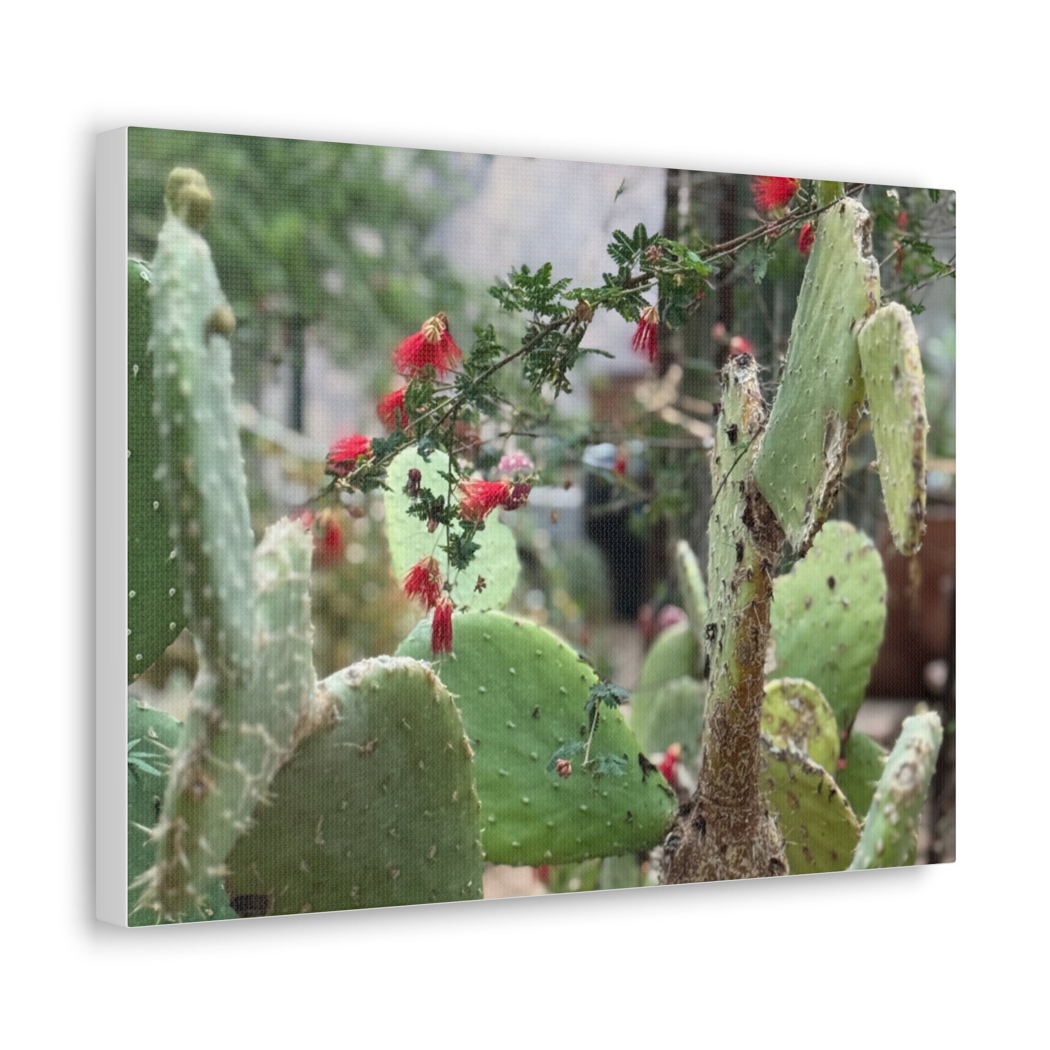 Cactus Artwork Print, Botanical Wall Decor, Succulent Canvas, Nature Lover Gift, Home Decoration