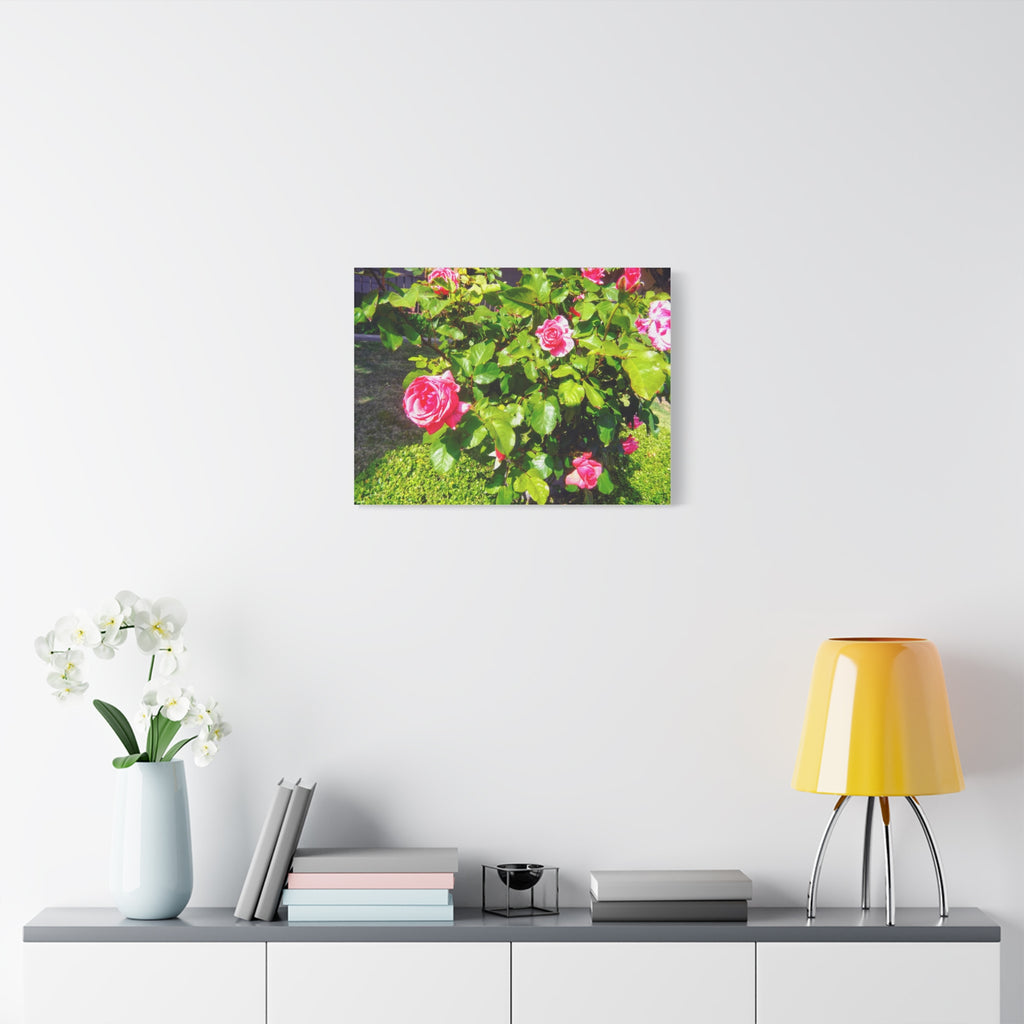 Floral Canvas Wall Art, Pink Rose Decor, Home Gallery Piece, Flower Photography, Garden Wall Decor, Floral Print