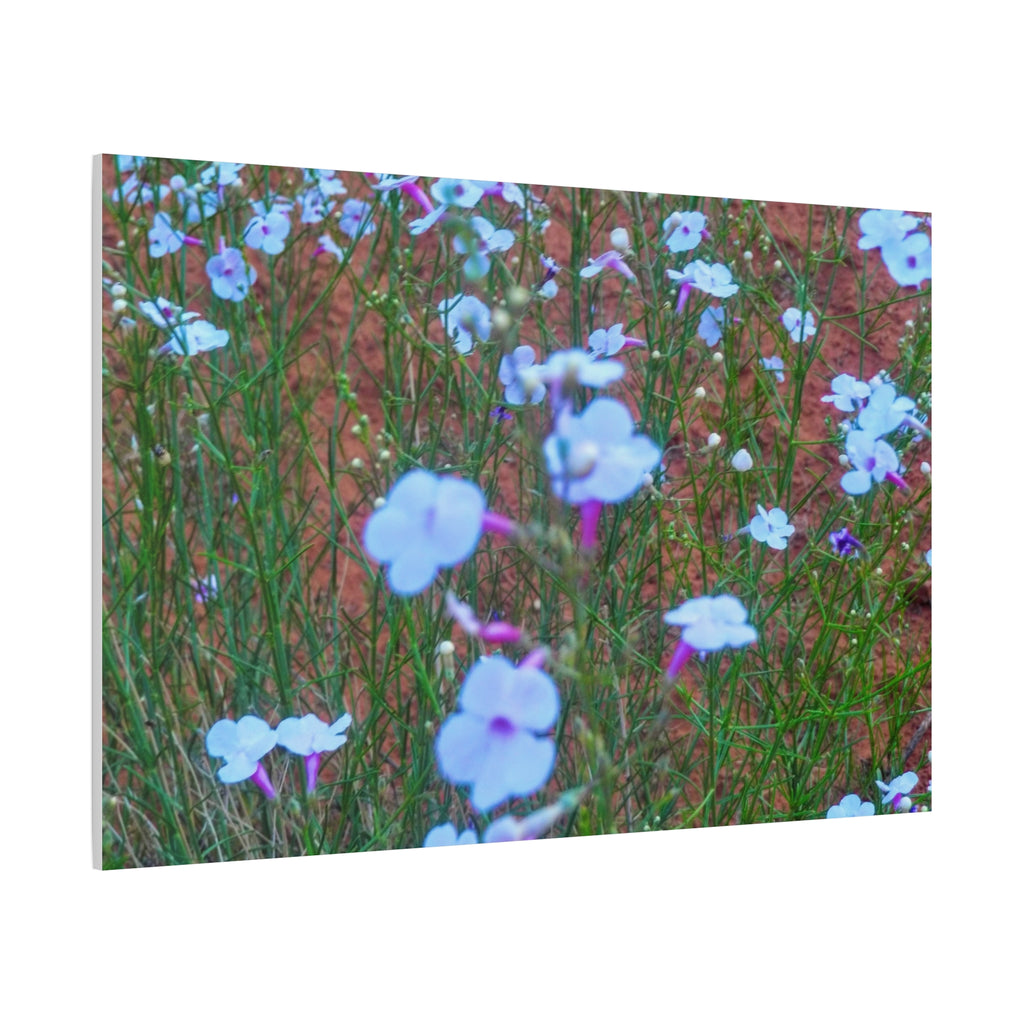 Floral Canvas Wall Art, Home Decor, Wall Hanging, Gift Idea, Nature Art, Flower Print