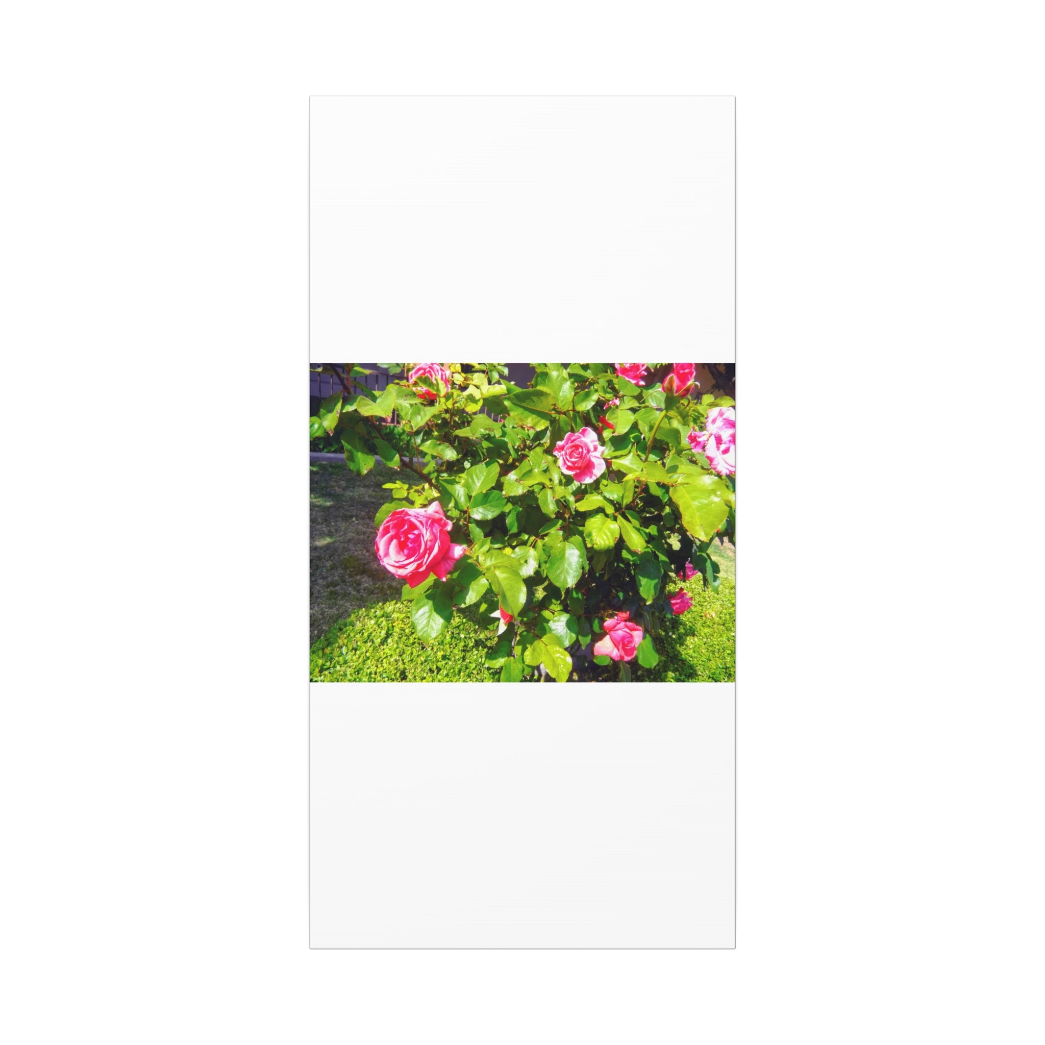 Floral Canvas Wall Art, Pink Rose Decor, Home Gallery Piece, Flower Photography, Garden Wall Decor, Floral Print