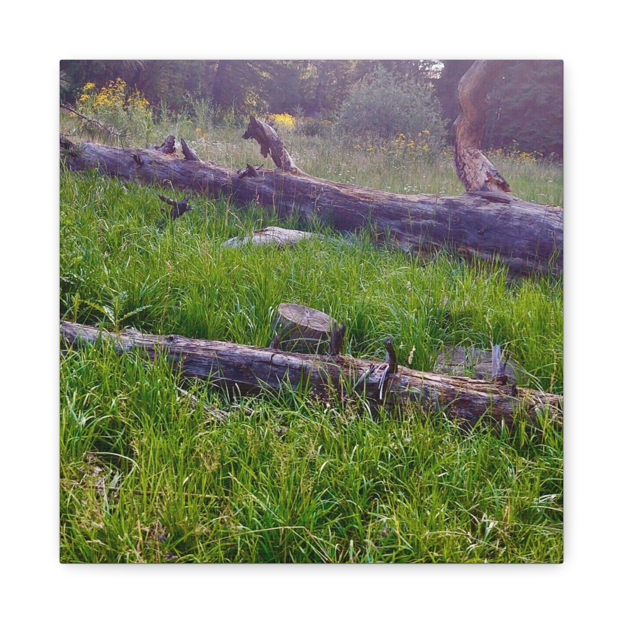 Classic Canvas Wall Art - Nature Decor, Outdoor Wall Hanging, Home Aesthetic, Gift for Nature Lovers, Rustic Cabin Decor