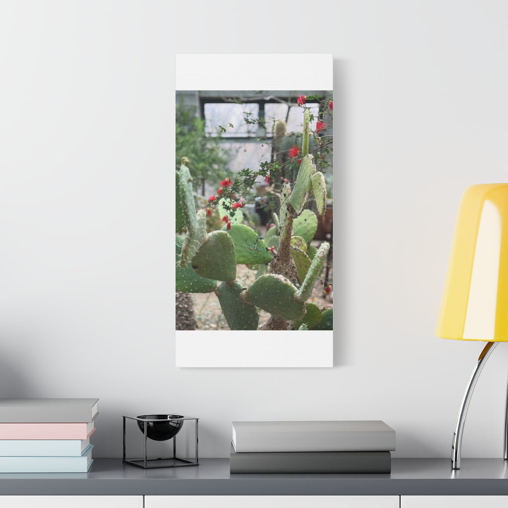 Cactus Artwork Print, Botanical Wall Decor, Succulent Canvas, Nature Lover Gift, Home Decoration