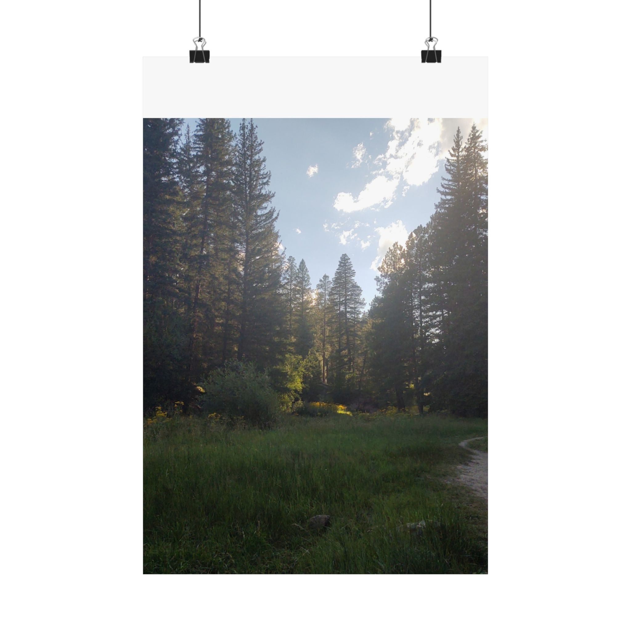 Nature-Inspired Matte Vertical Posters, Forest Art Decor, Home Wall Art, Outdoor Lover Gift, Tranquil Nature Prints