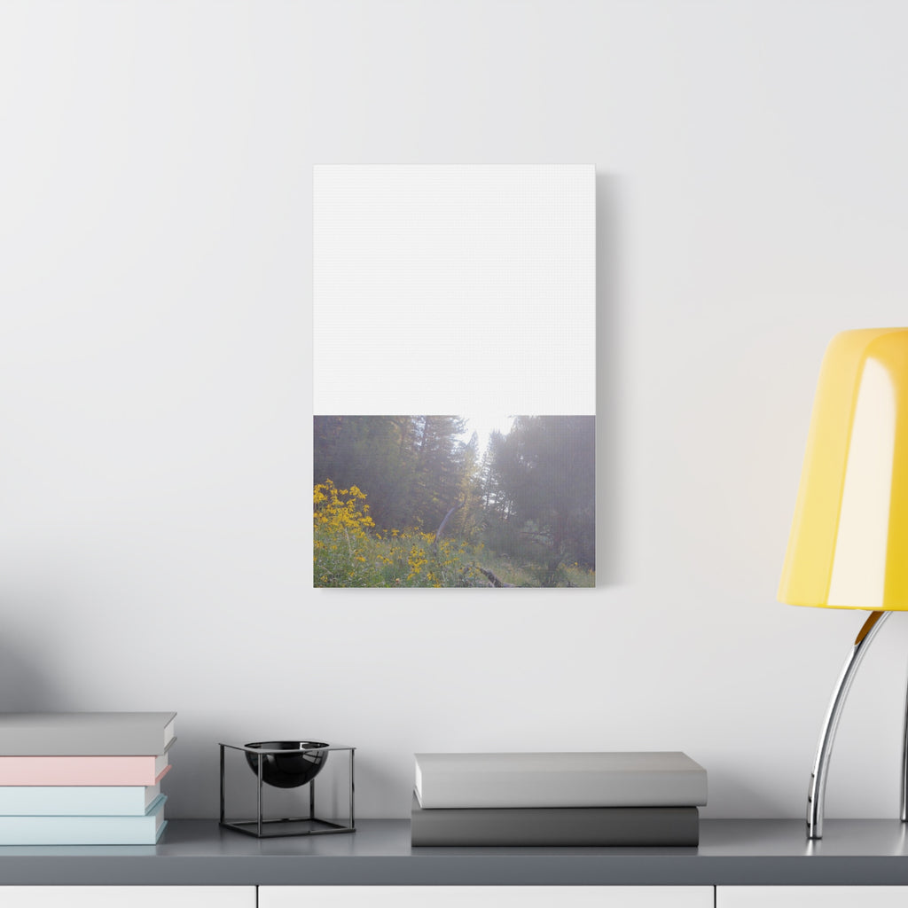 Matte Canvas, Stretched, 1.25"