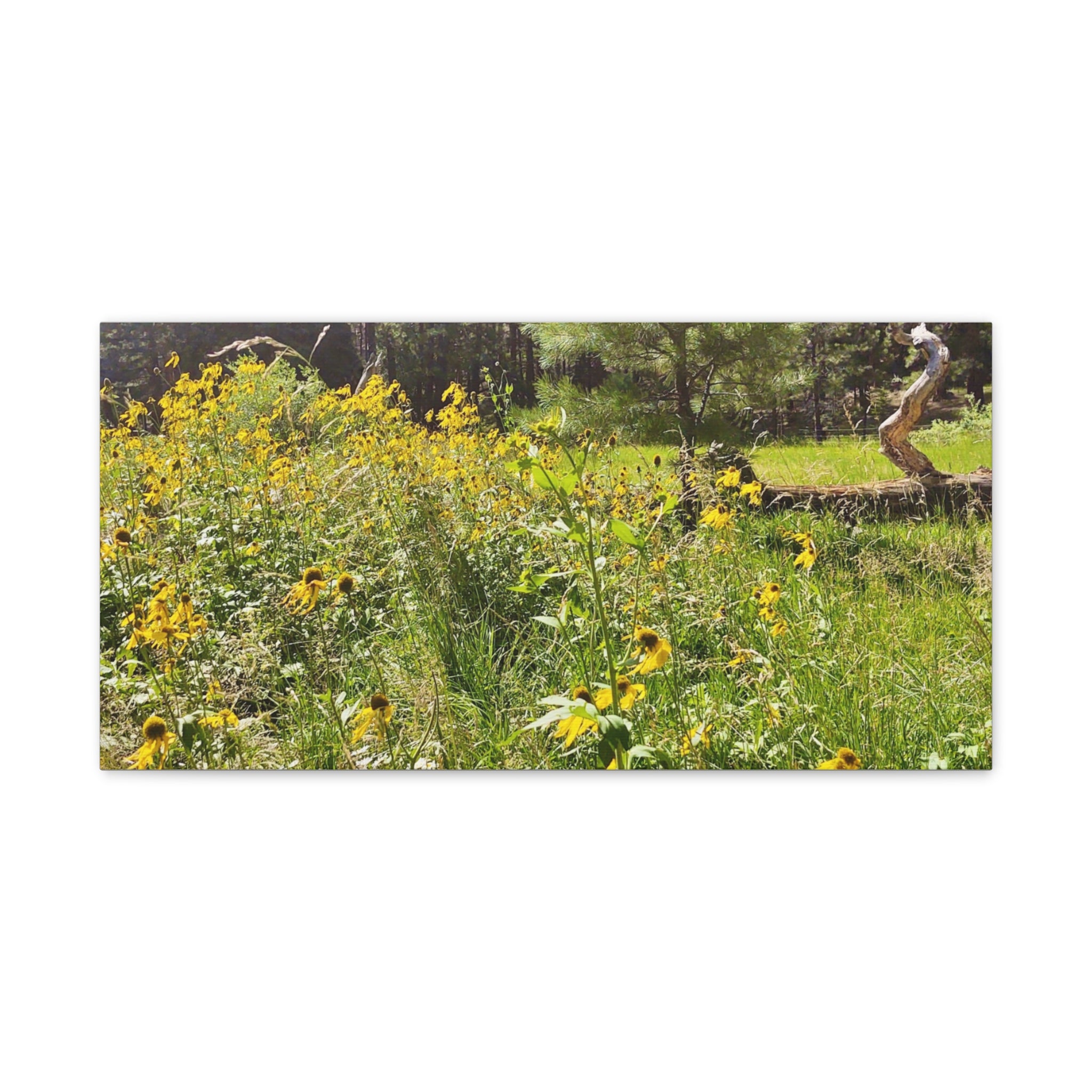 Canvas Wall Art, Nature Photography Decor, Floral Home Decor, Greenery Art Print, Gift for Nature Lovers