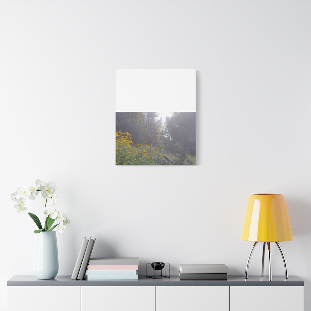 Matte Canvas, Stretched, 1.25"