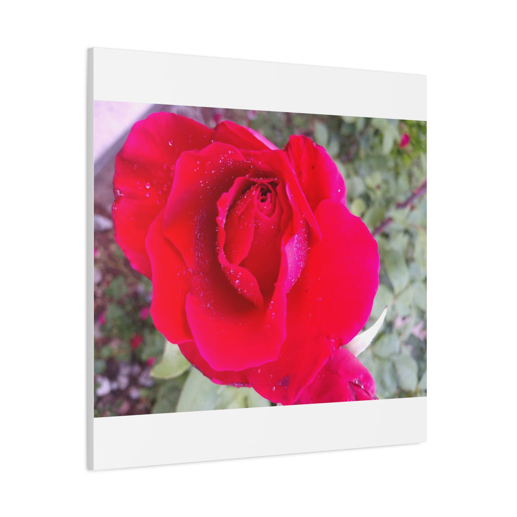 Vibrant Floral Canvas Art, Elegant Wall Decor, Perfect for Home, Gifts, Mother's Day, and Weddings