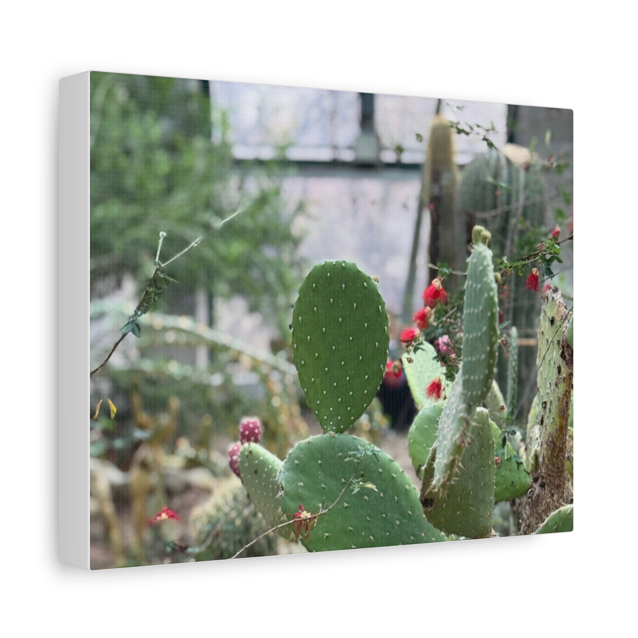 Cactus Matte Canvas Wall Art, Nature Decor, Southwestern Room Design, Green Plant Prints, Home and Office Wall Decor