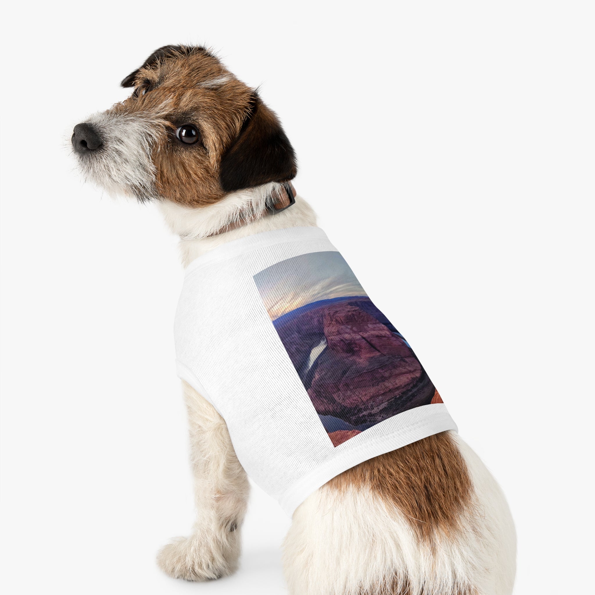 Stylish Pet Tank Top for Summer, Cute Dog Apparel, Perfect for Pet Lovers, Dog Birthday Gift, Pet Fashion, Summer Outfits
